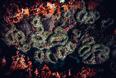 A close-up of a rocky surface covered in colorful mineral deposits and formations. The textures are intricate and varied, with crusty layers and iridescent patches appearing within the rough structure.