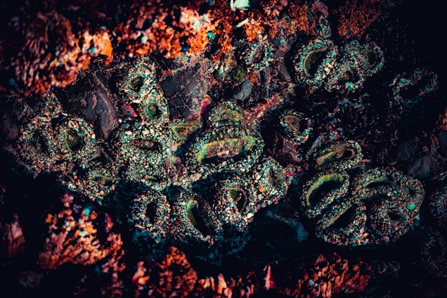 A close-up of a rocky surface covered in colorful mineral deposits and formations. The textures are intricate and varied, with crusty layers and iridescent patches appearing within the rough structure.
