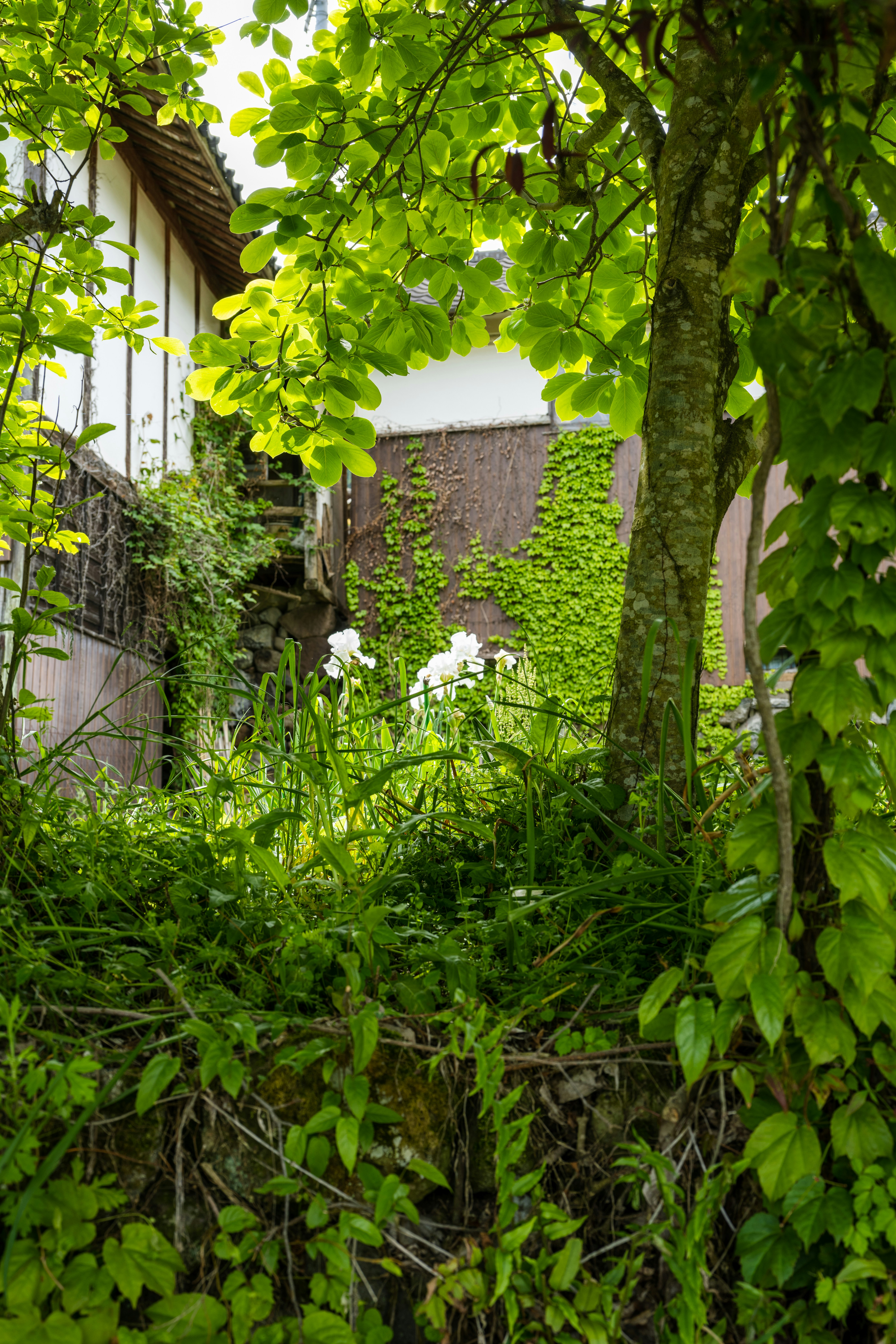 Turf Wollongong – Why Having a Turf Is Important