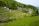 A lush, green landscape of terraced rice fields set against a backdrop of dense forest. Small houses are scattered along the perimeter, with a winding road connecting them. The scene is tranquil and rural, illustrating a harmonious blend of agriculture and nature.