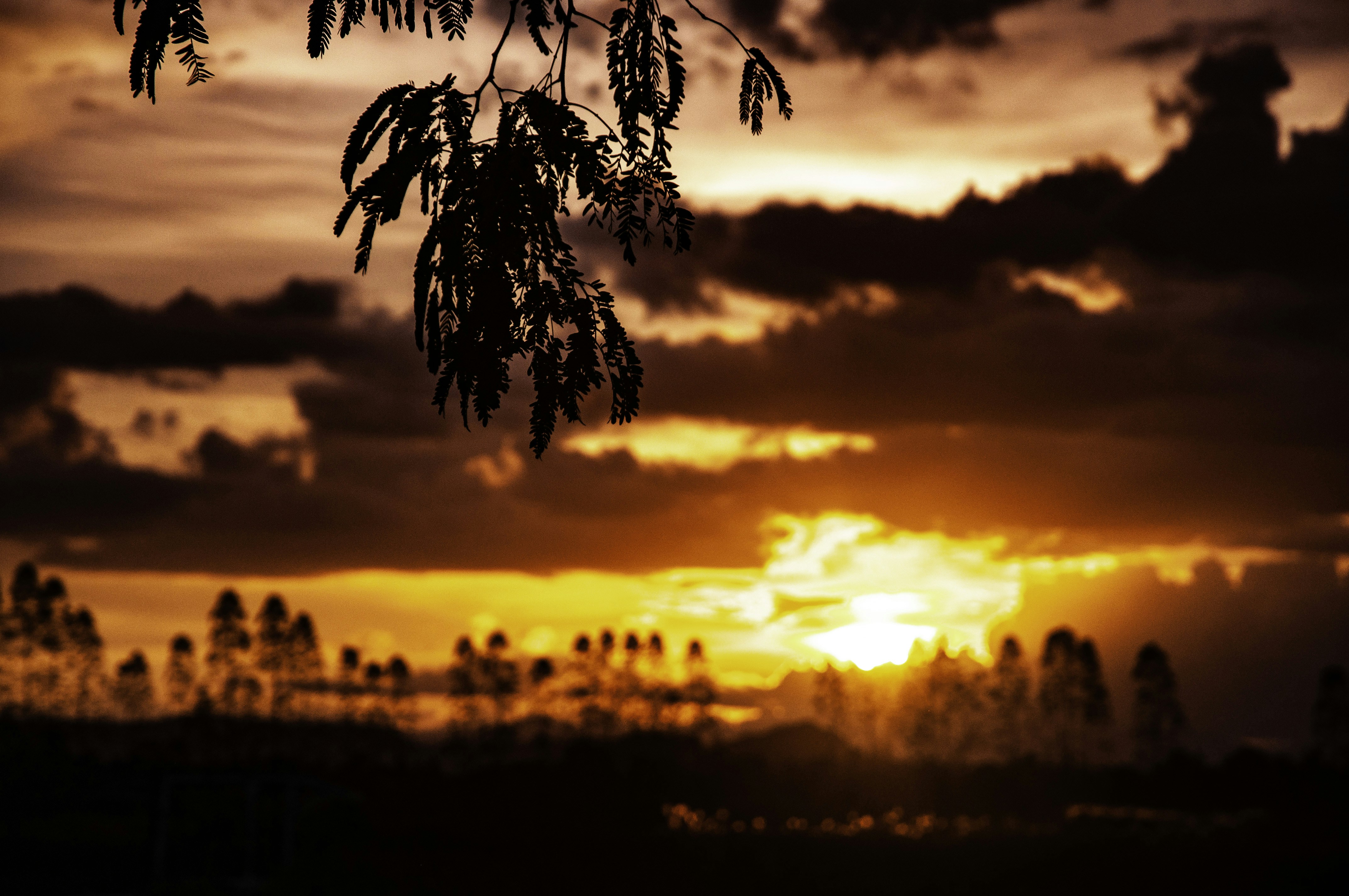 Photo by maiami24569