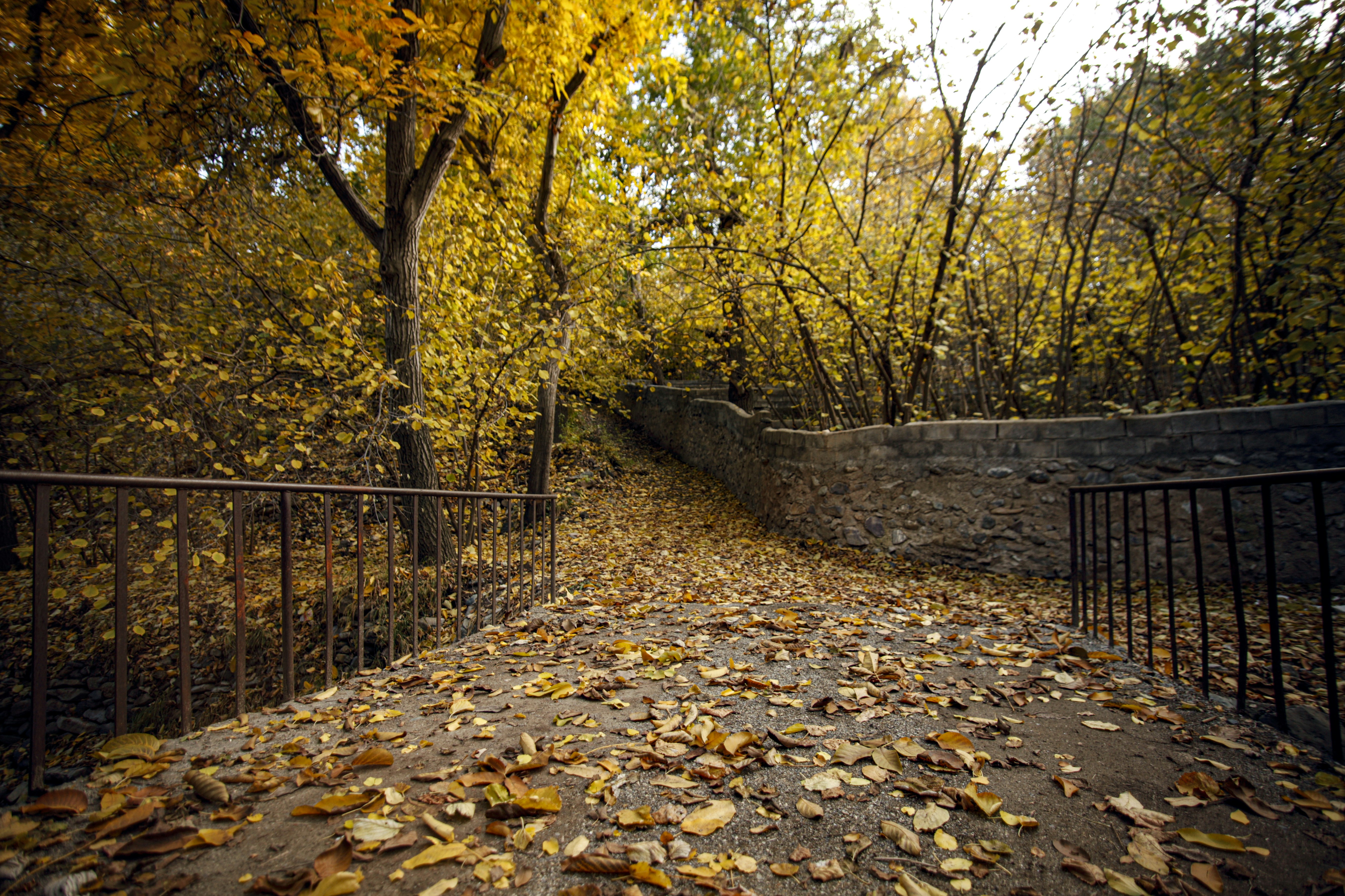 Photo by shima_abedin93