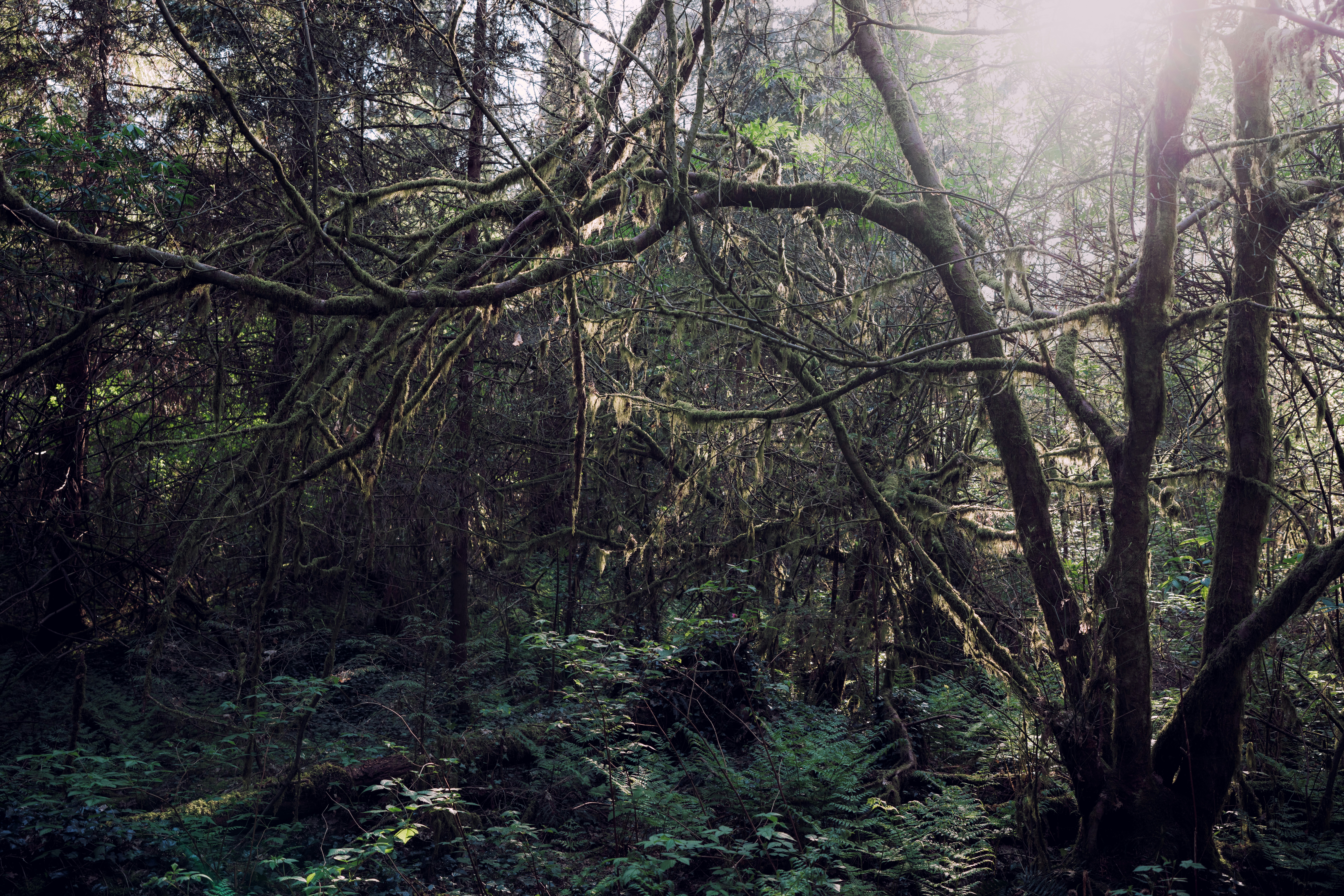 Photo by arianmontazeri