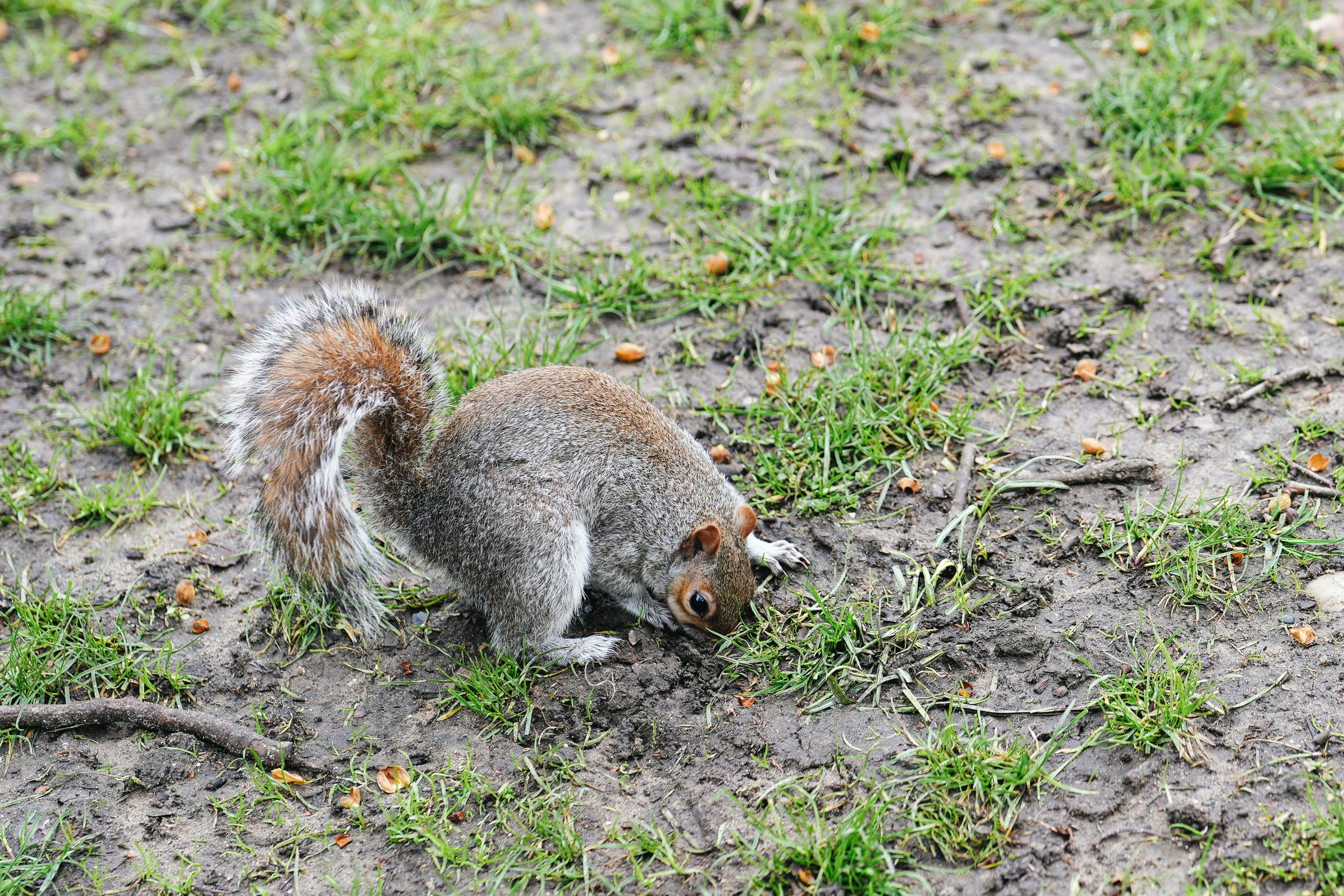 Photo by anyachernykh