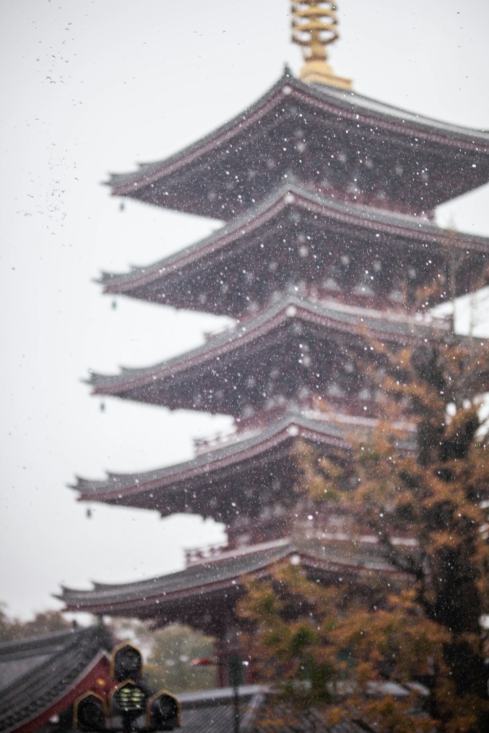 a tall building sitting next to a tree covered in snow