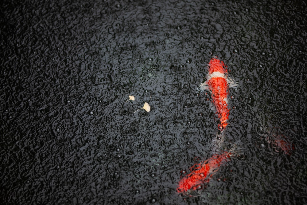 a red and white object on a black surface