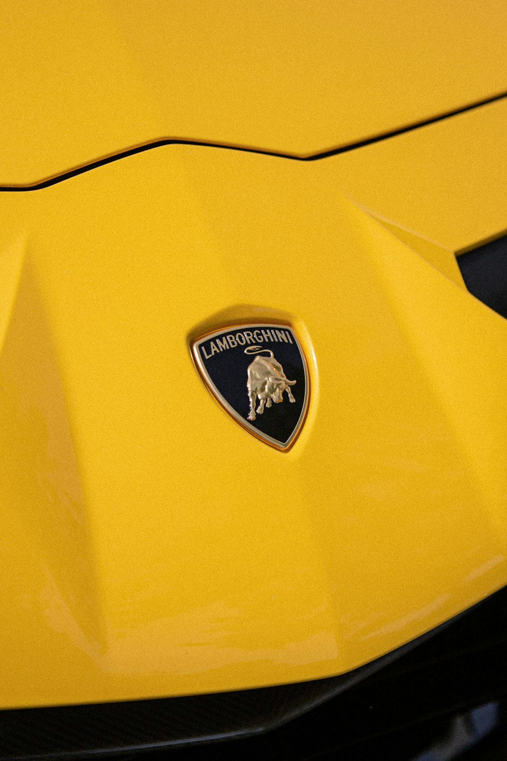 a close up of the emblem on a yellow sports car