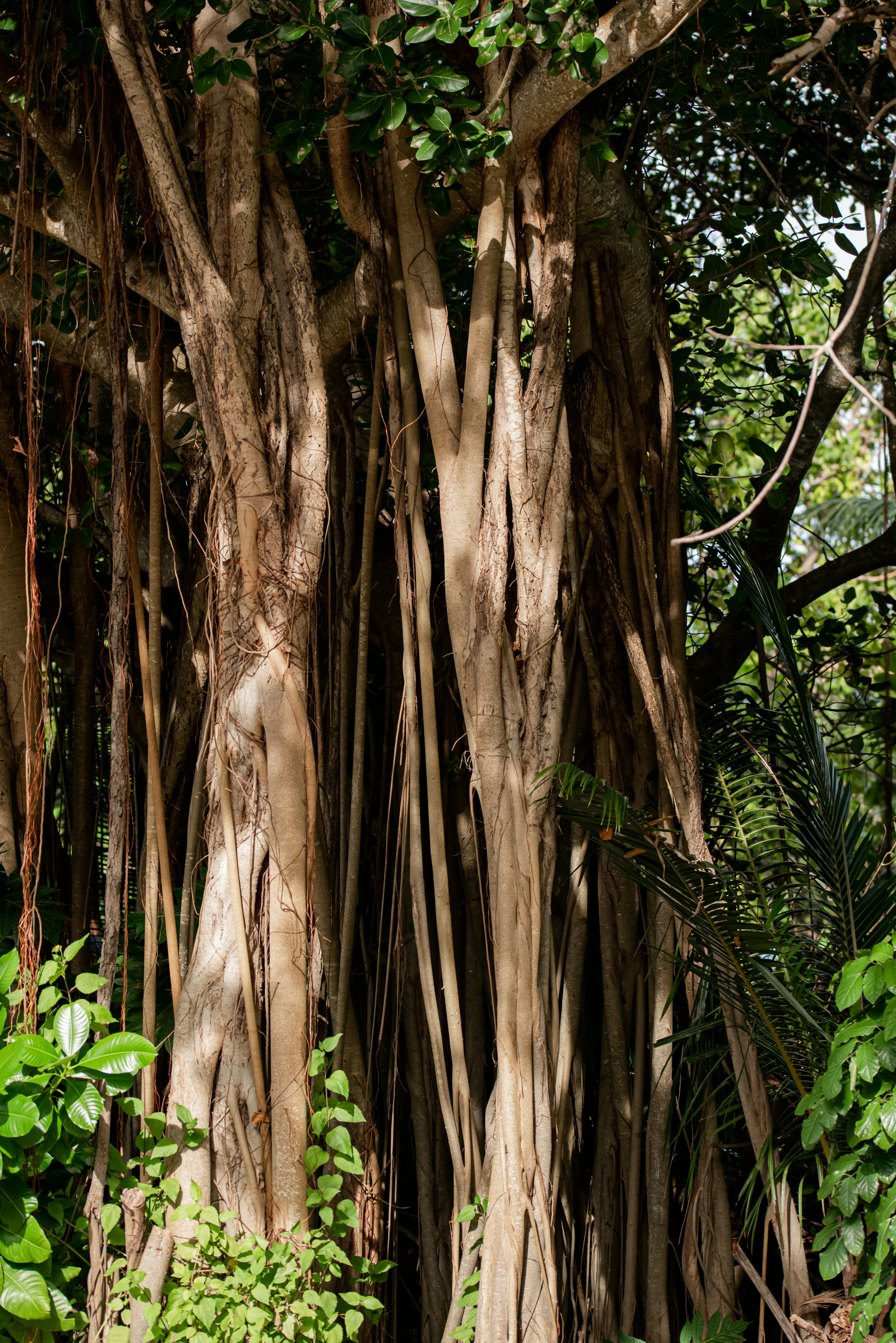 Photo by lauraadaiphoto