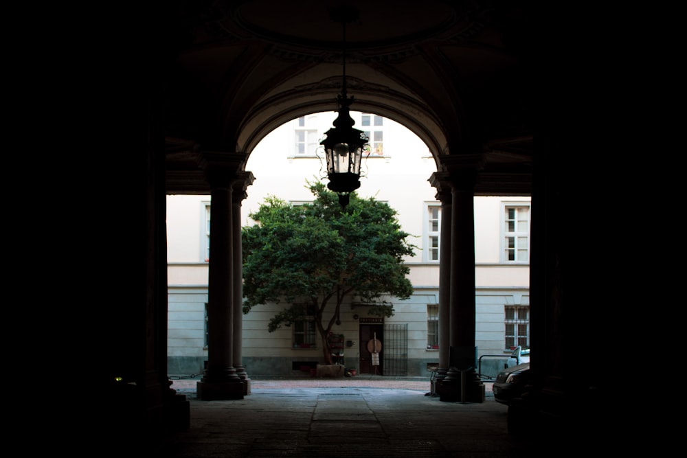 an archway with a tree in the middle of it