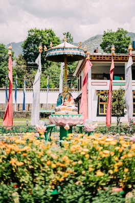 A peaceful temple courtyard with golden statues and blooming lotus flowers.