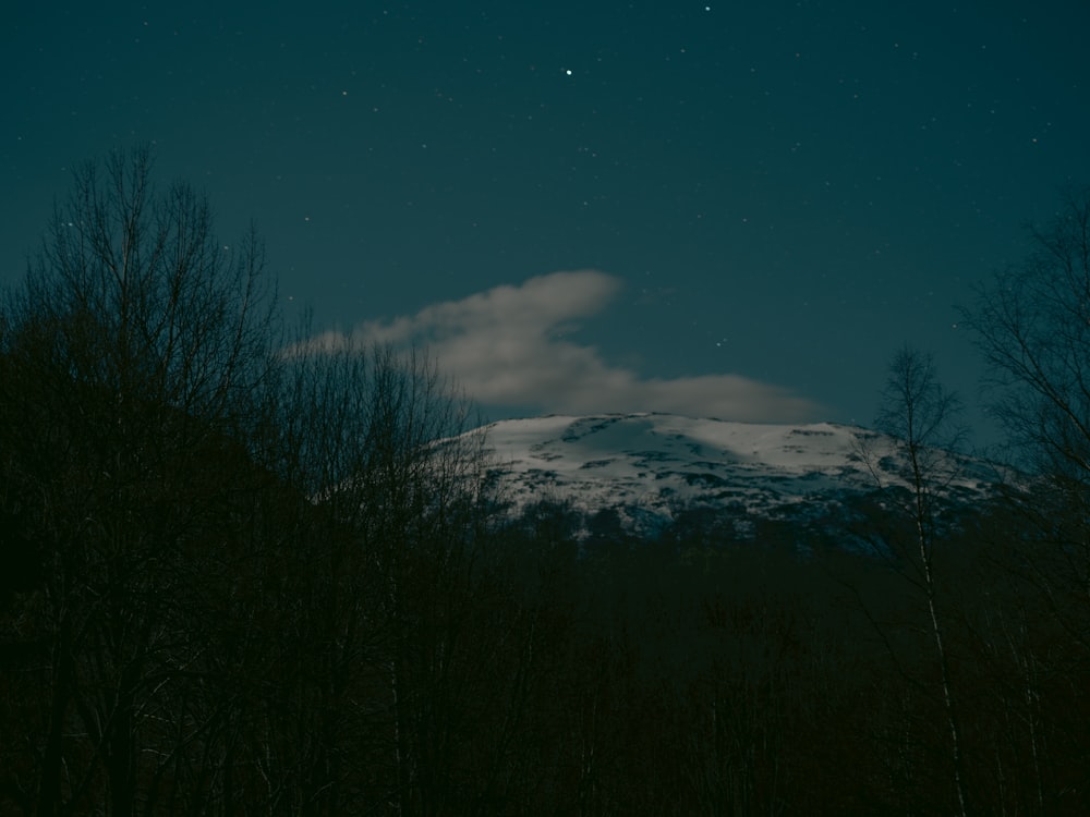 a snow covered mountain with trees in the foreground