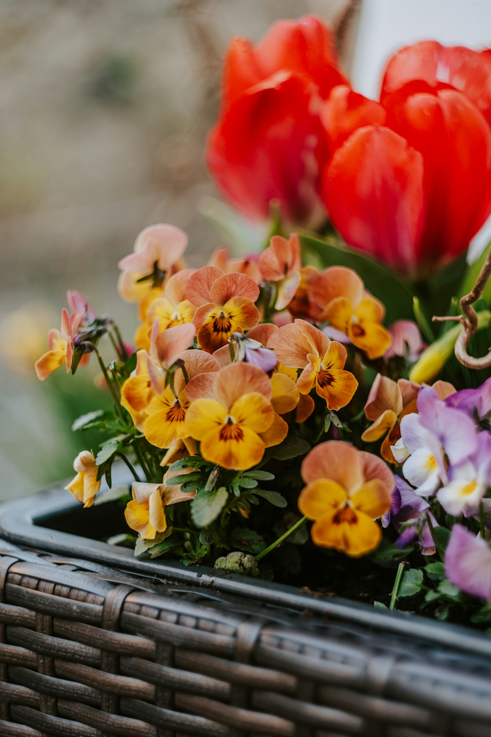 a basket filled with lots of colorful flowers