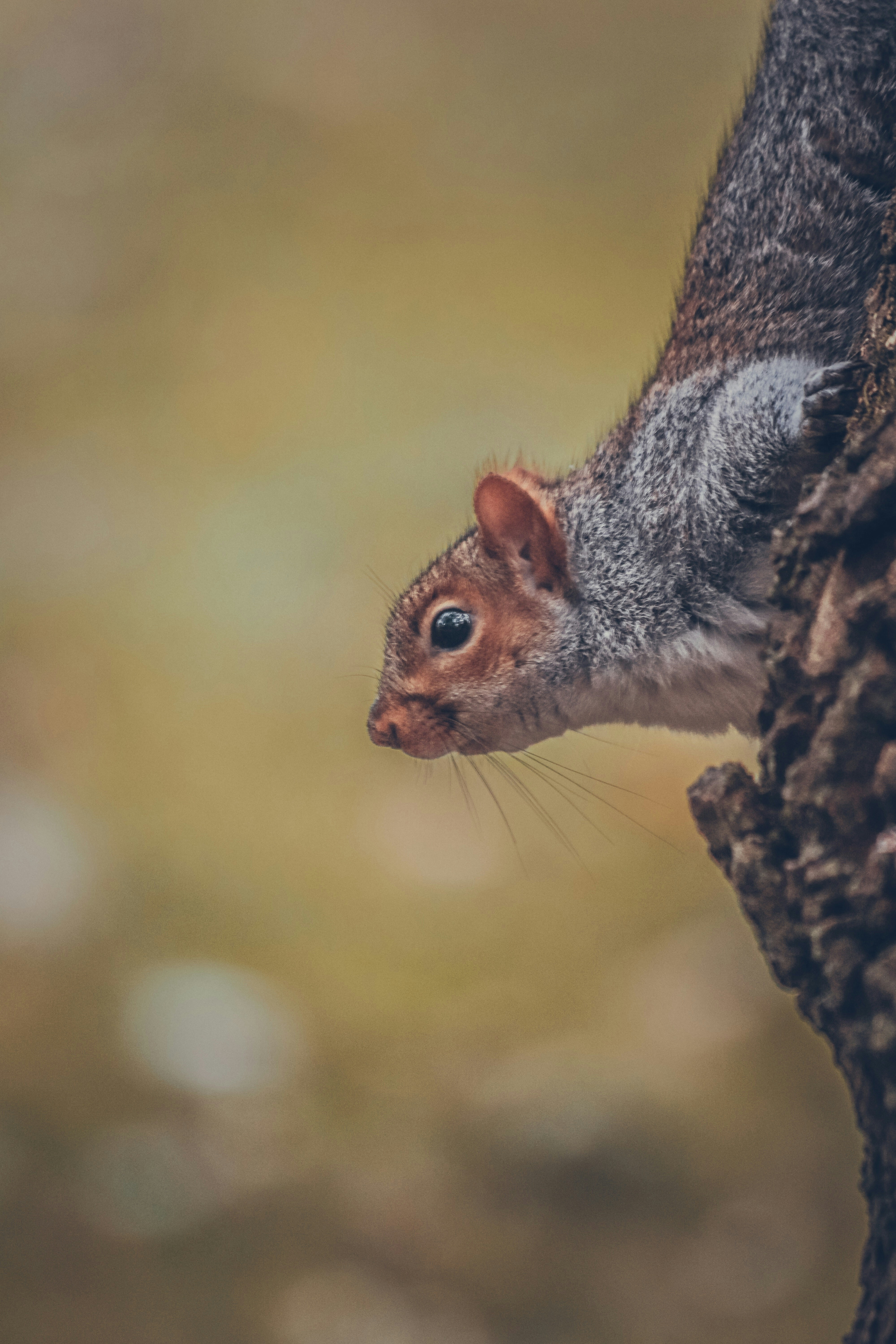 Photo by boysinbristol_photography