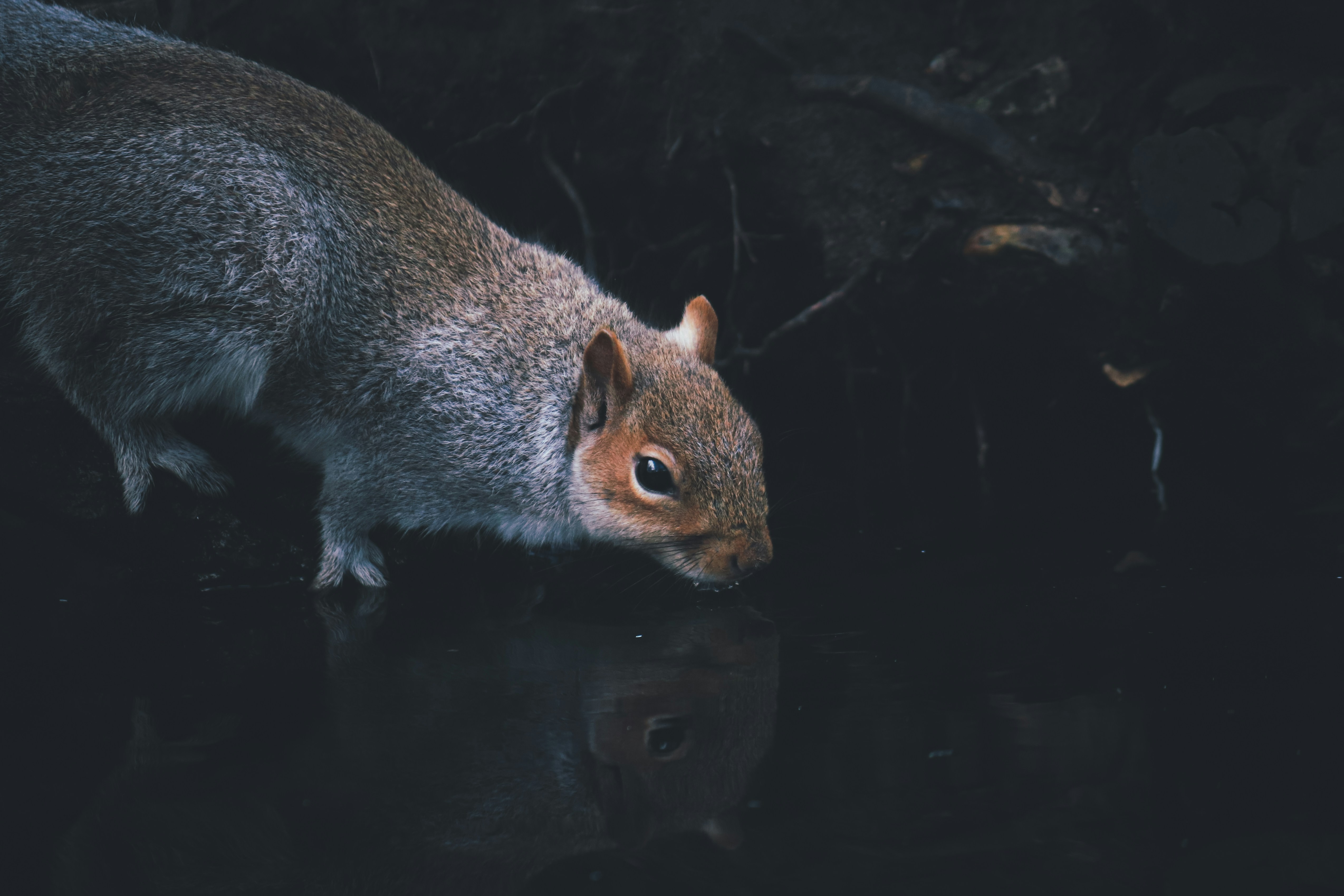 Photo by boysinbristol_photography