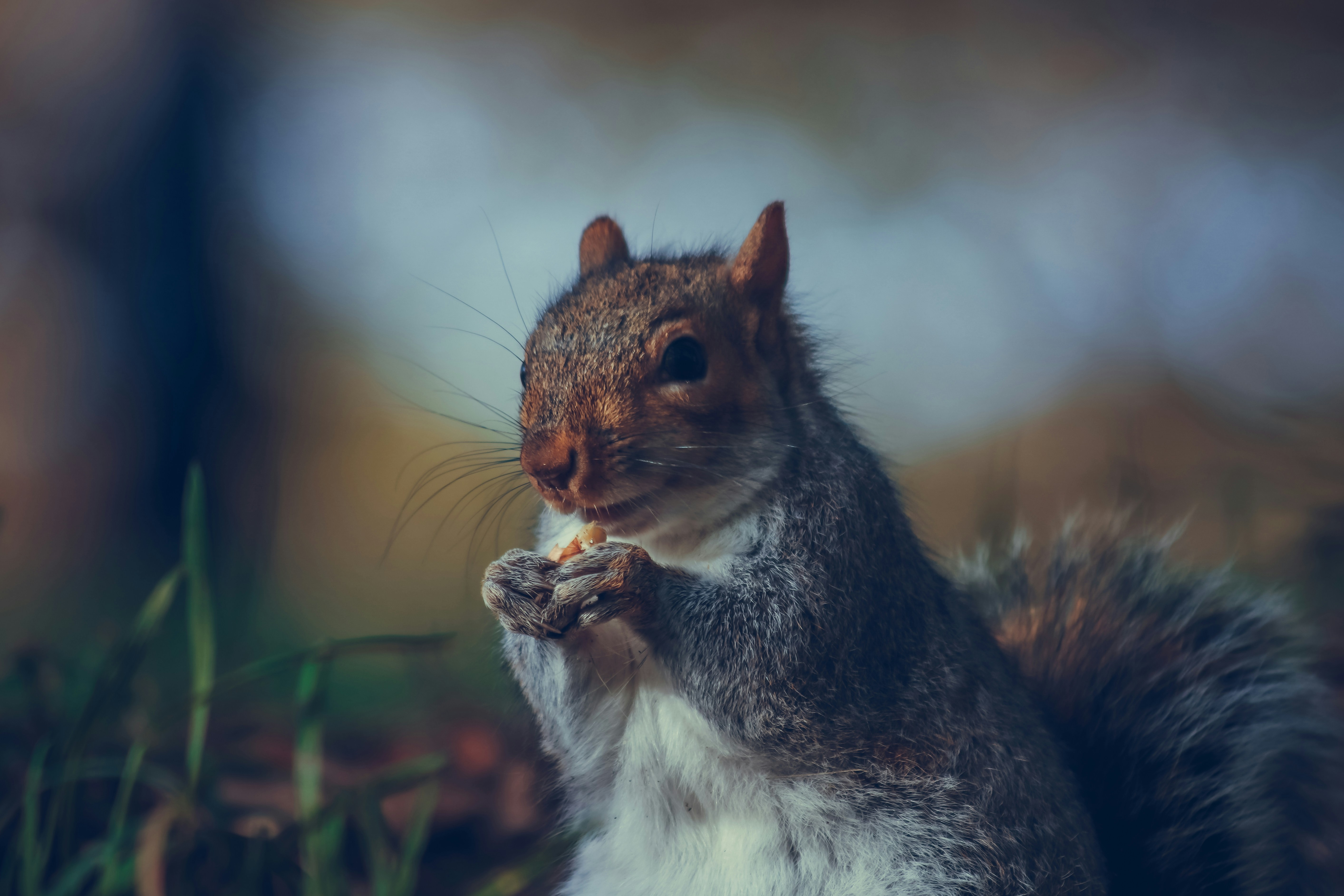 Photo by boysinbristol_photography