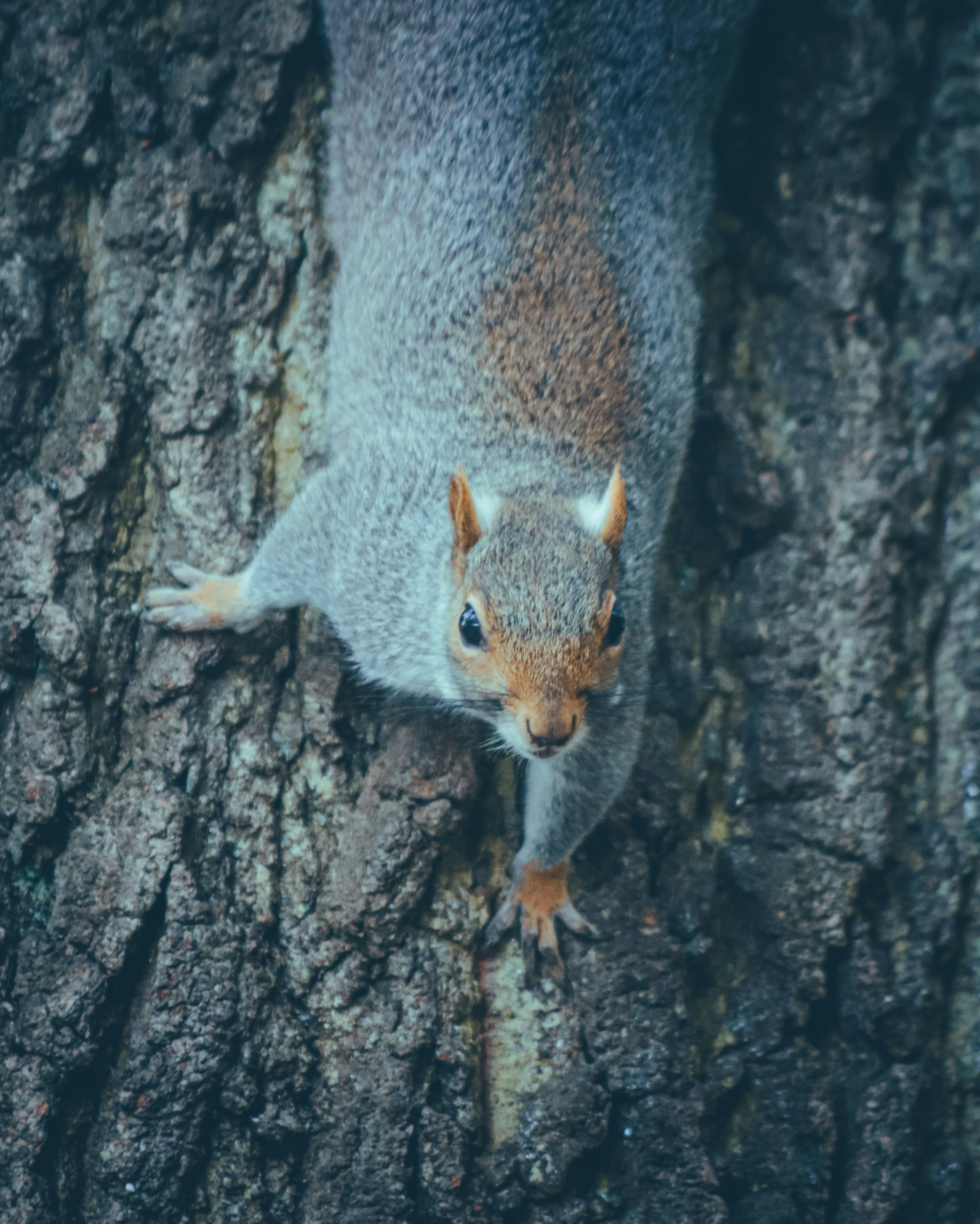 Photo by boysinbristol_photography