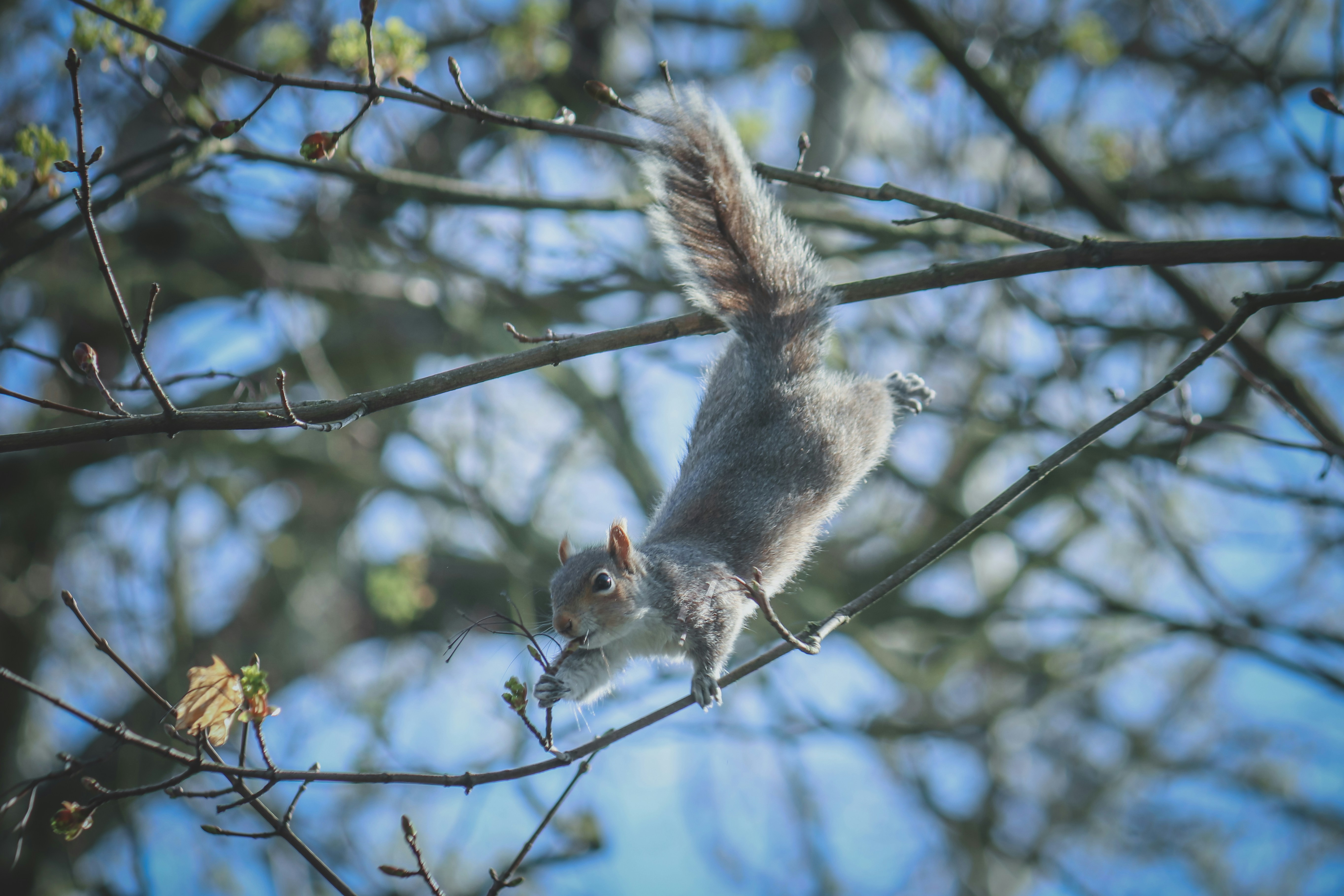 Photo by boysinbristol_photography