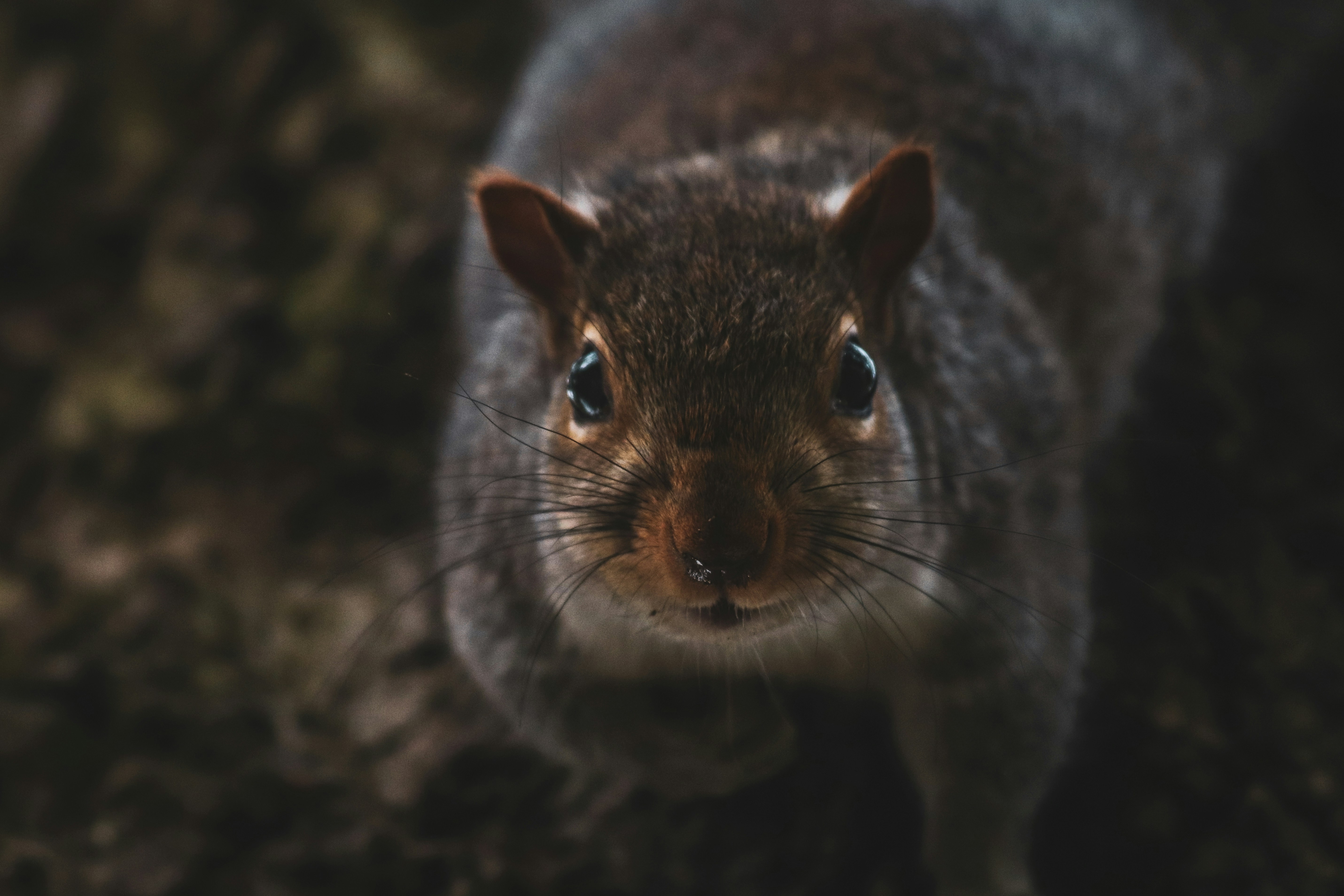 Photo by boysinbristol_photography