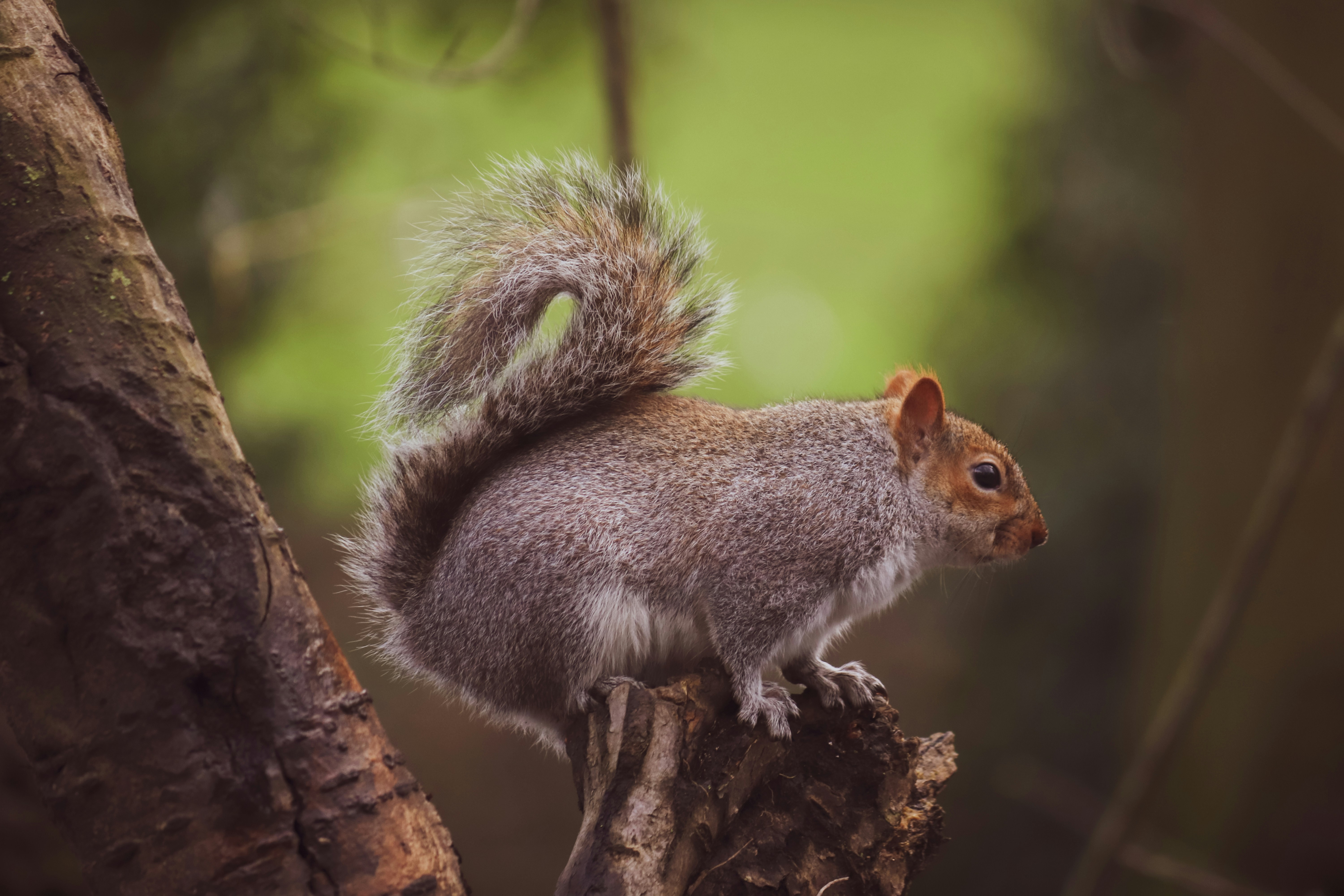 Photo by boysinbristol_photography