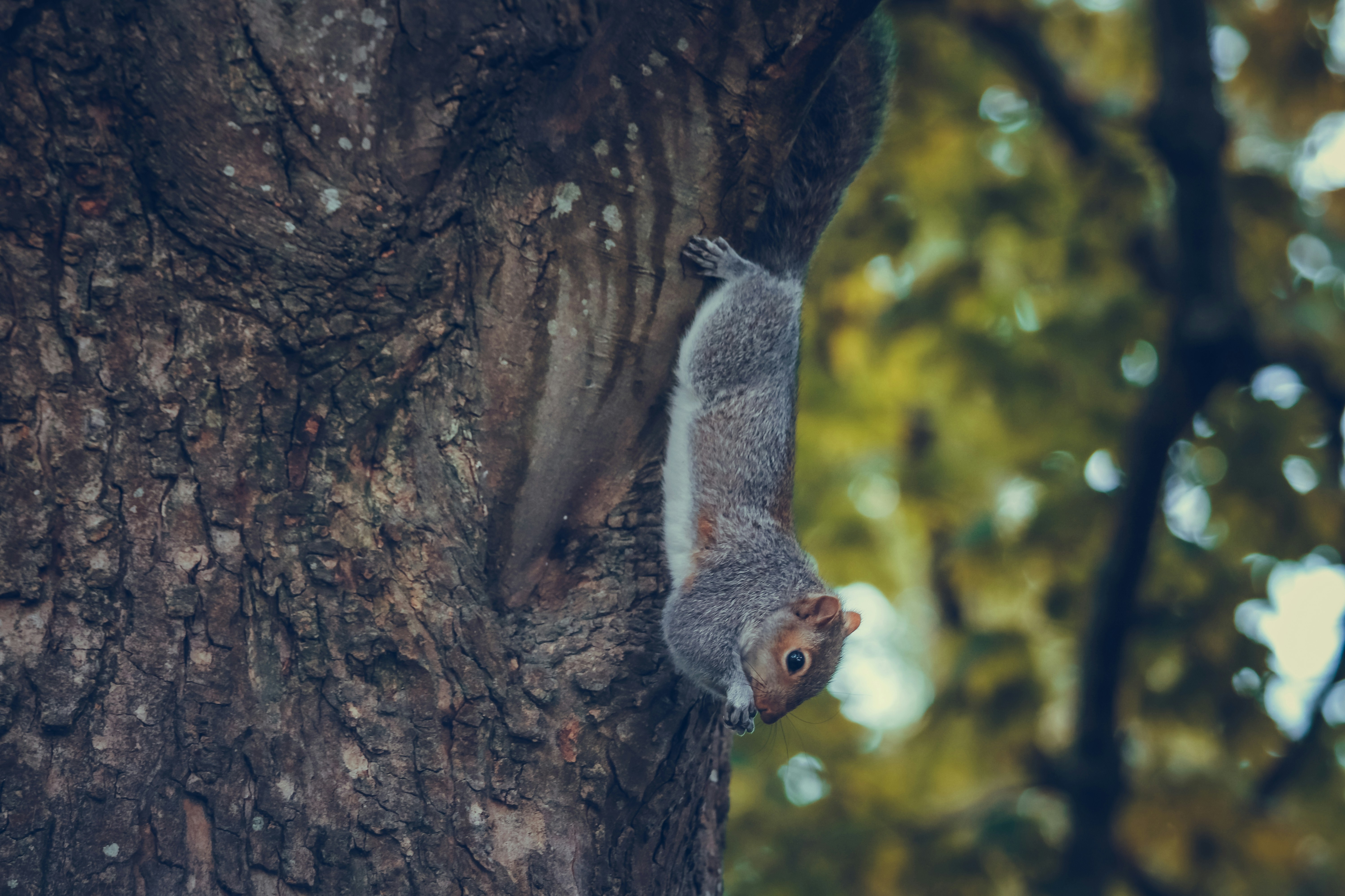 Photo by boysinbristol_photography