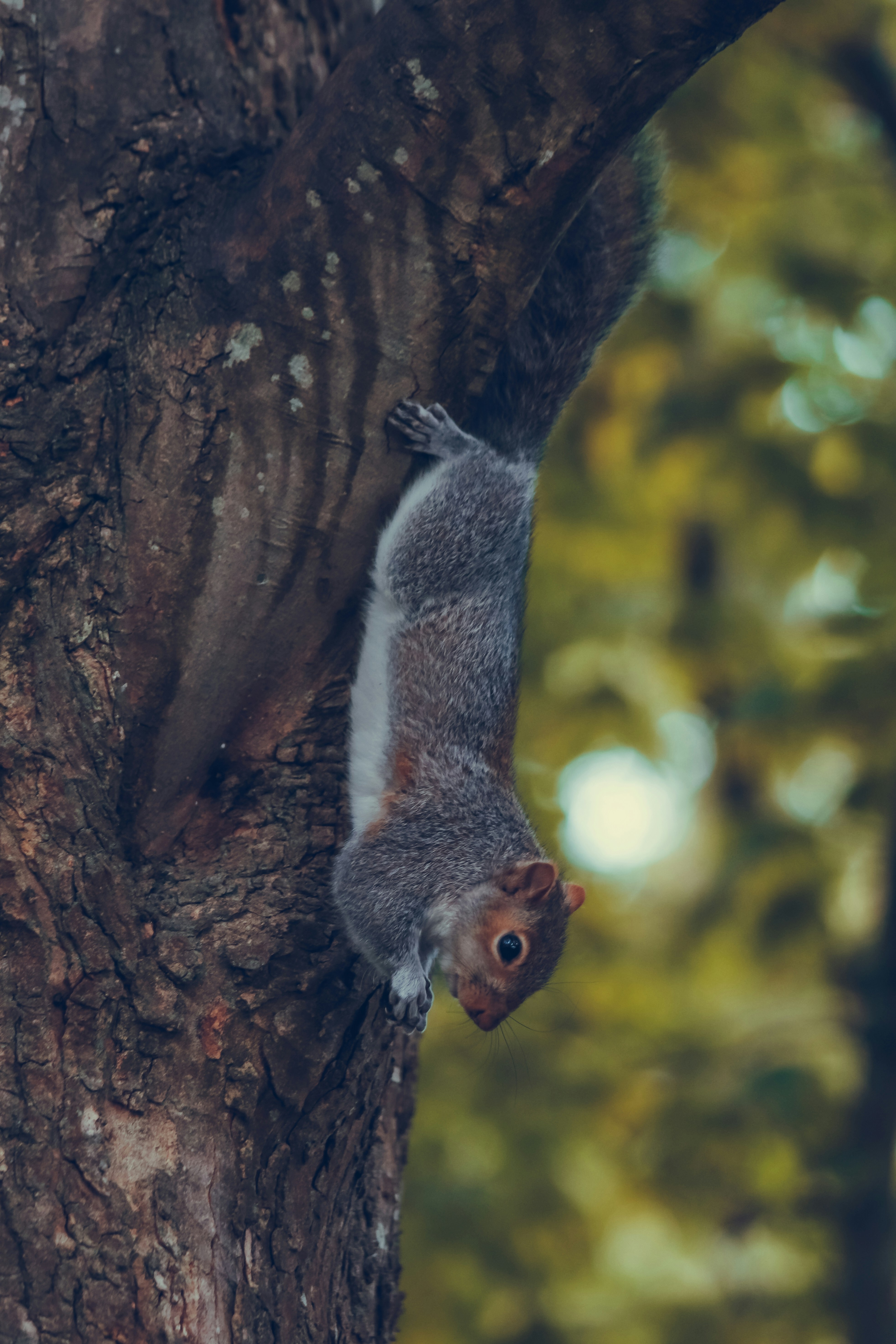 Photo by boysinbristol_photography