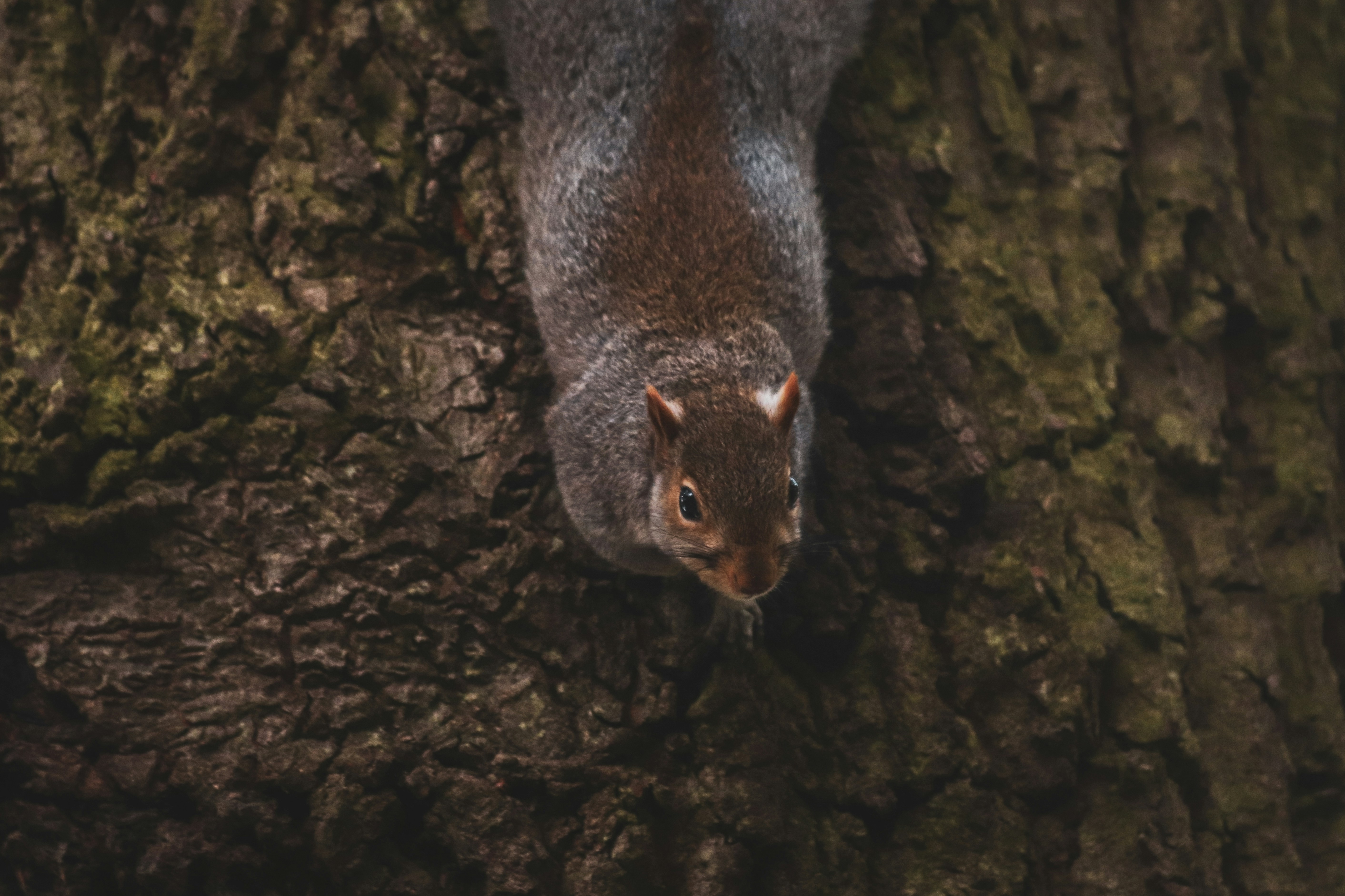 Photo by boysinbristol_photography