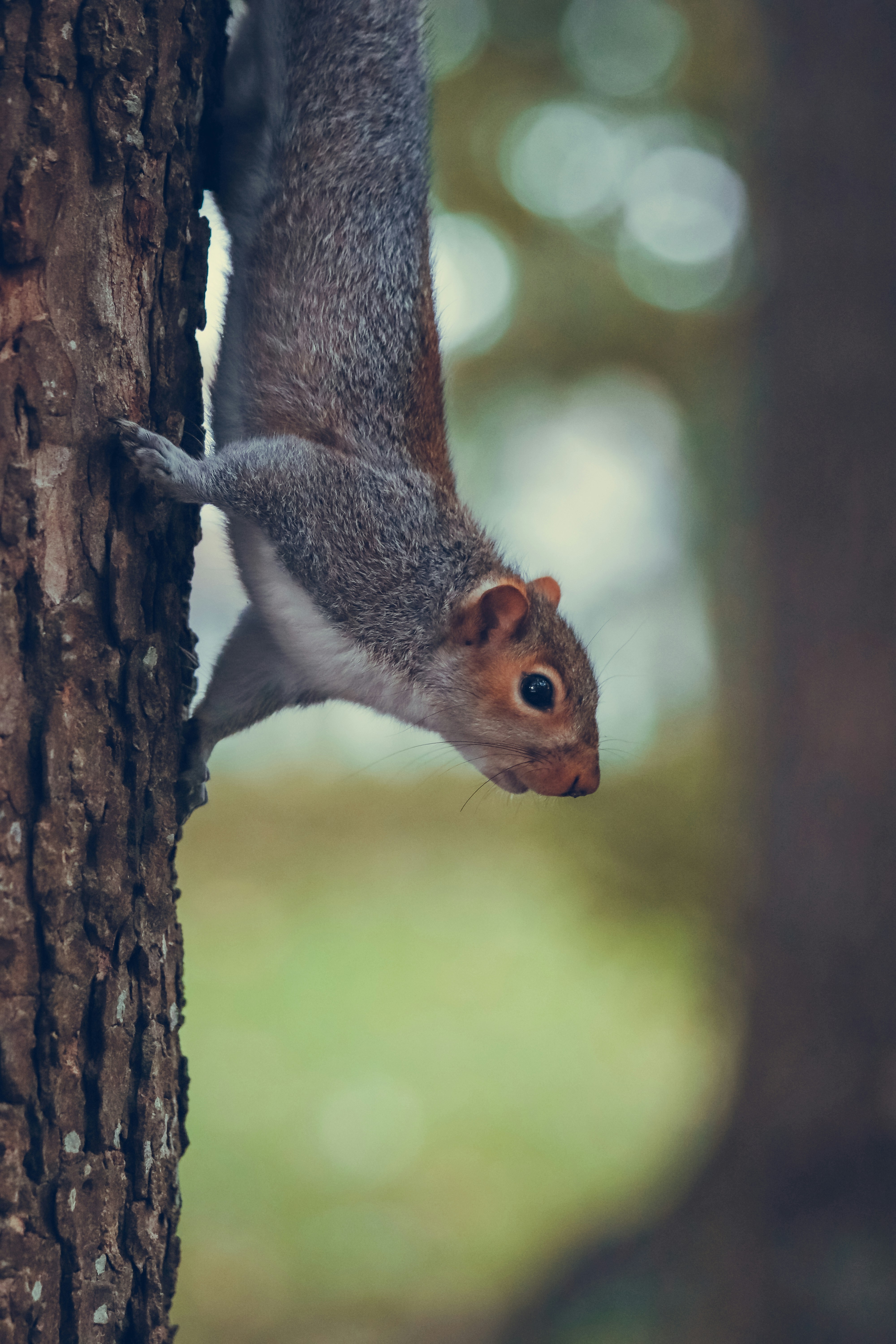 Photo by boysinbristol_photography