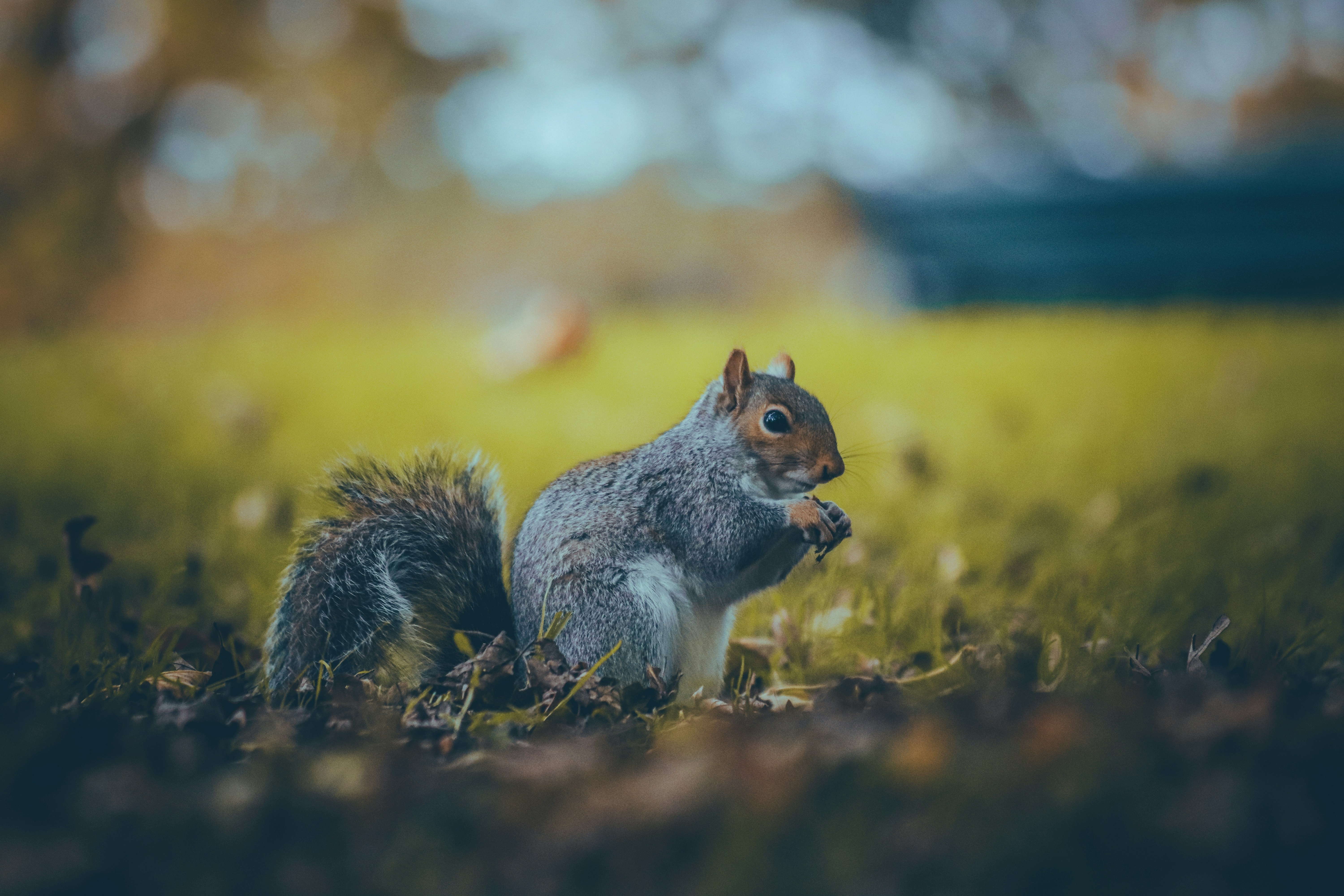 Photo by boysinbristol_photography