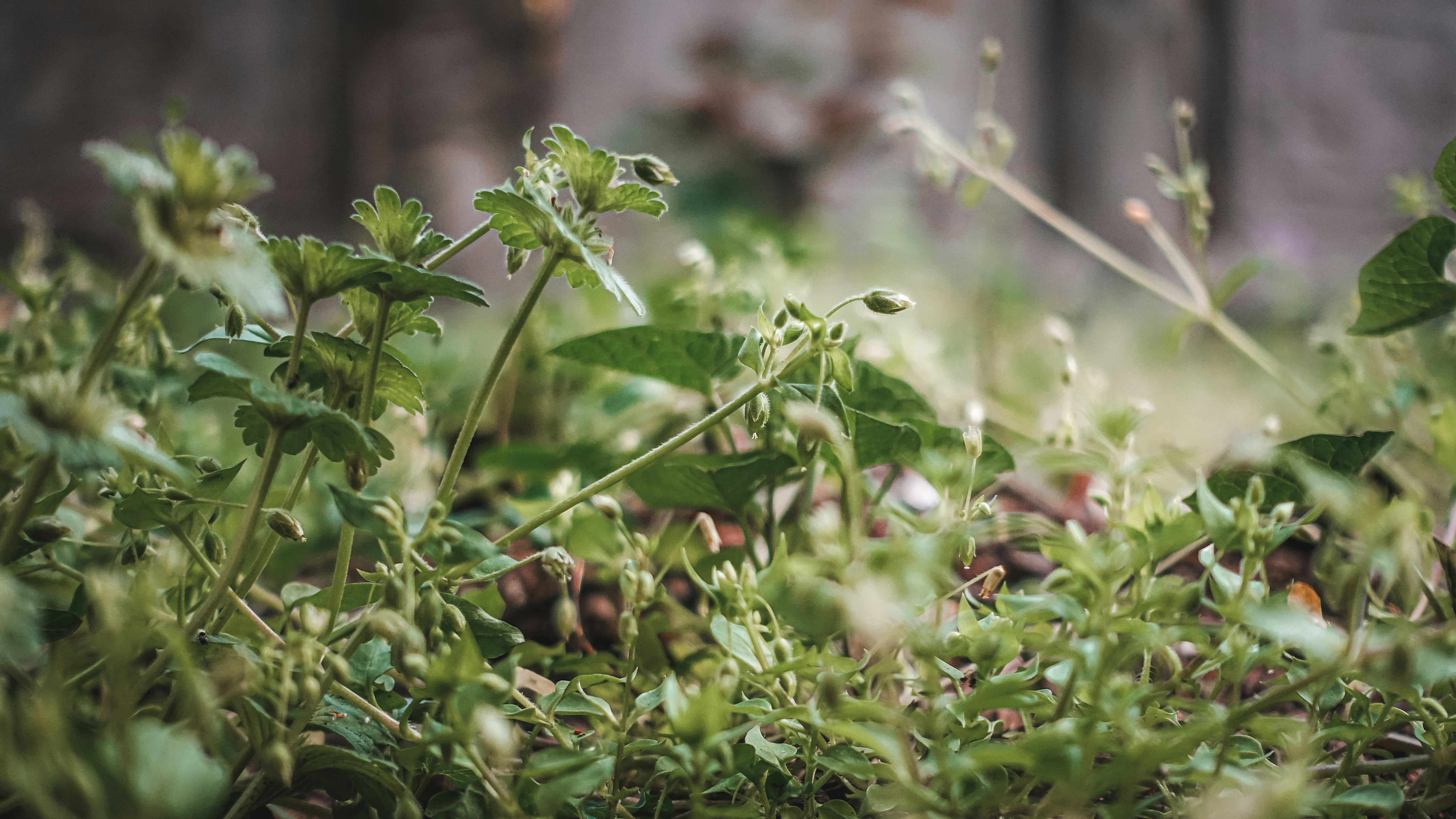 Photo by hypocriteeeee