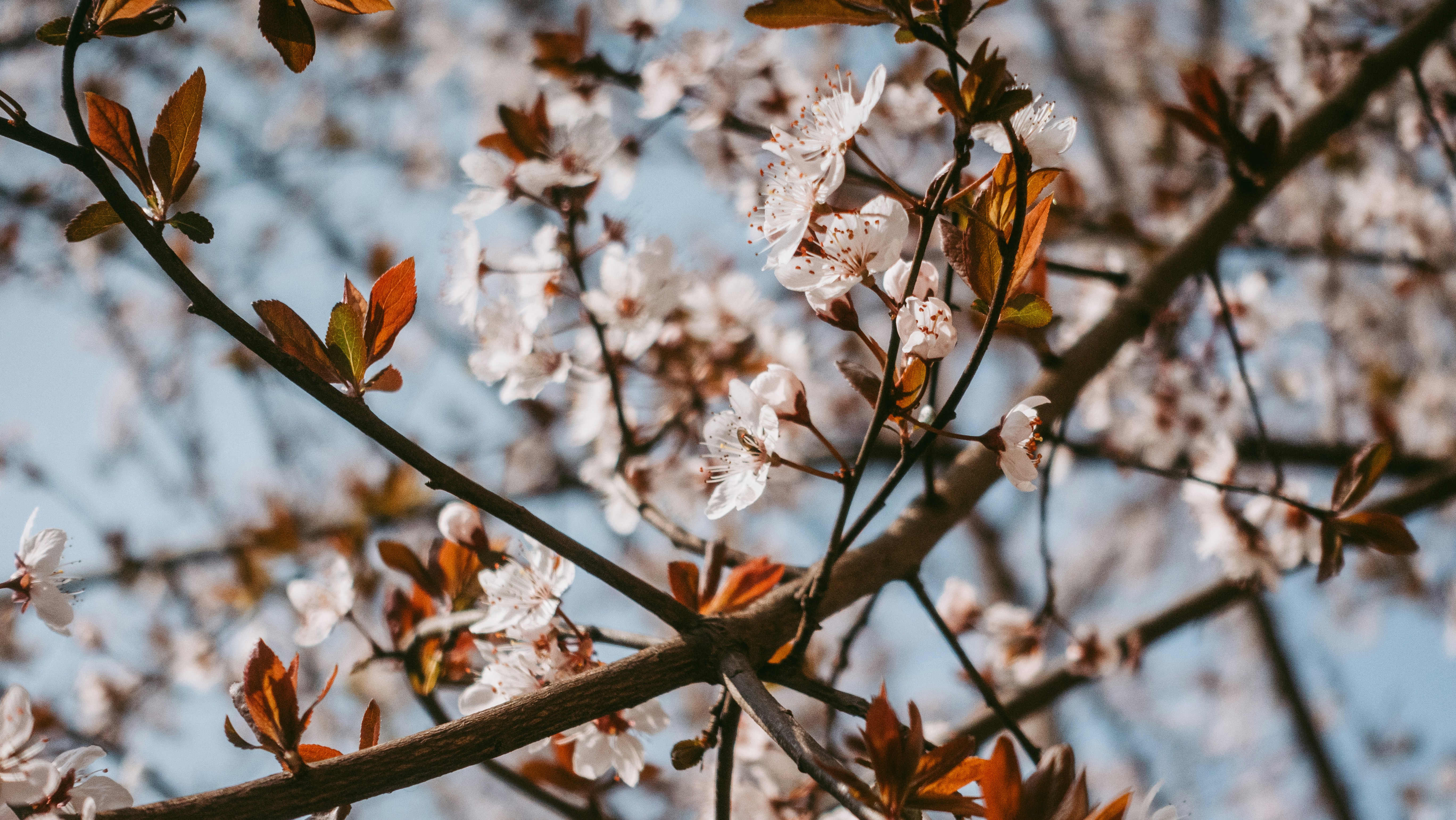 Photo by hypocriteeeee