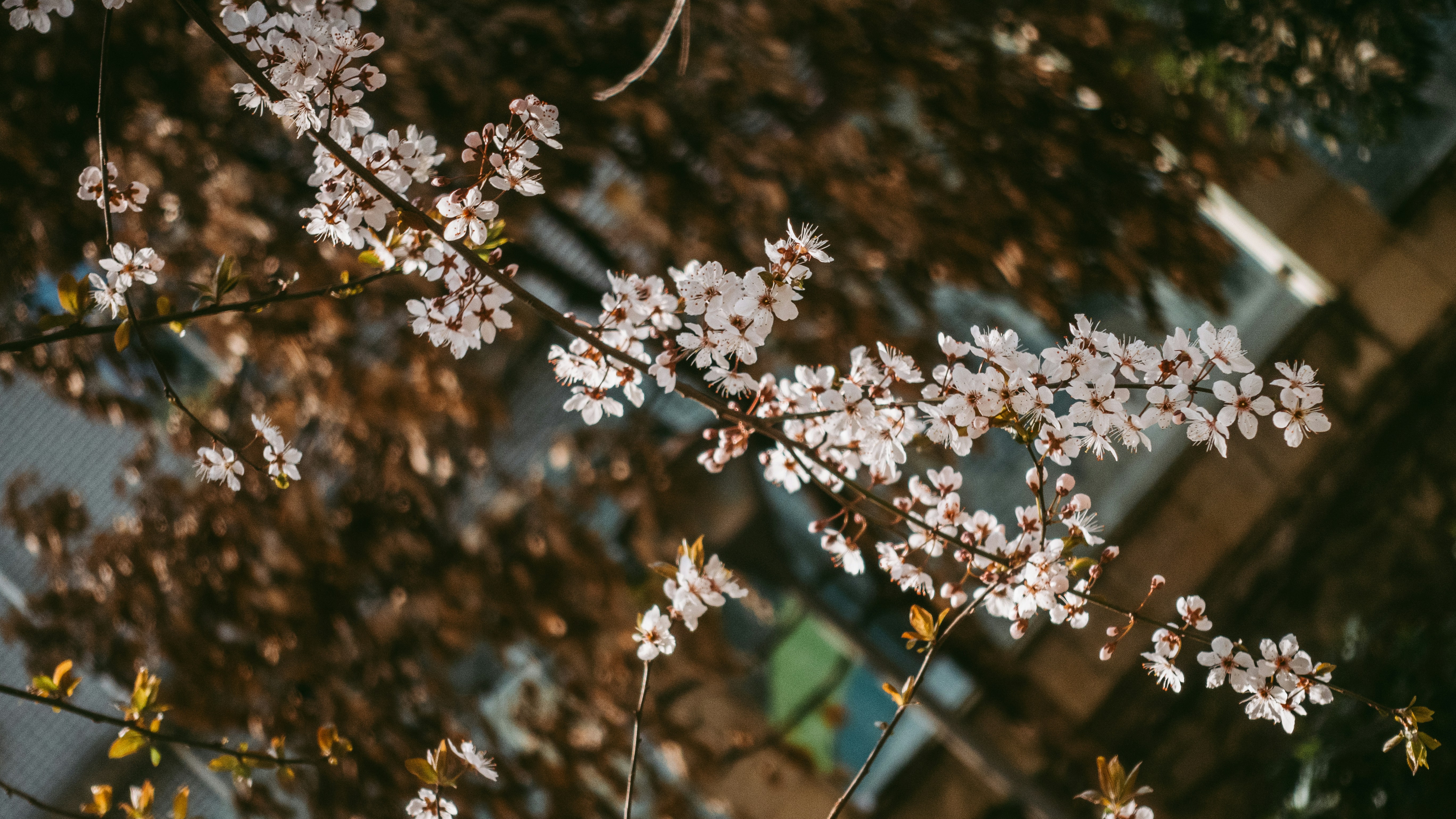 Photo by hypocriteeeee