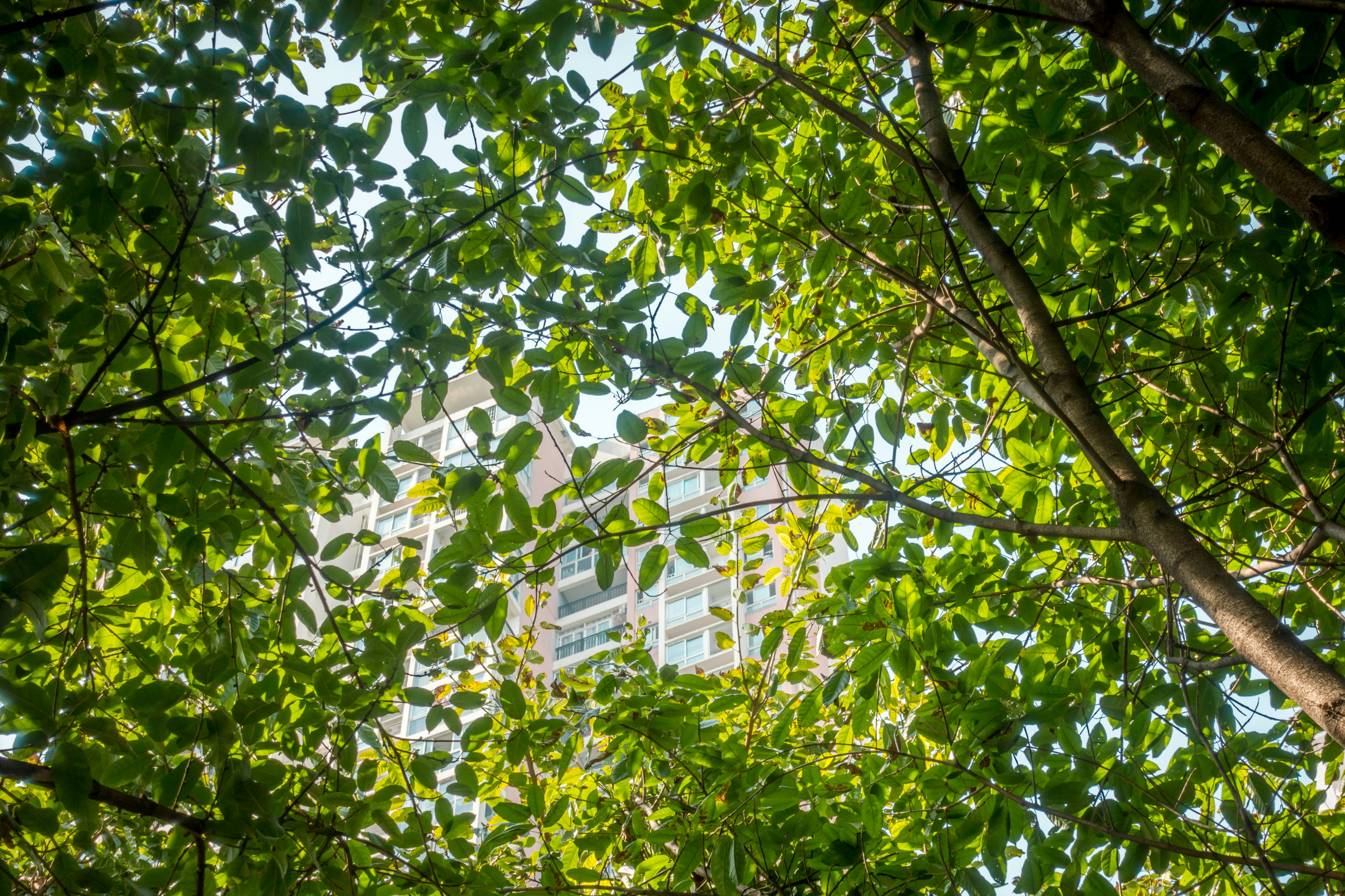 Photo by hypocriteeeee