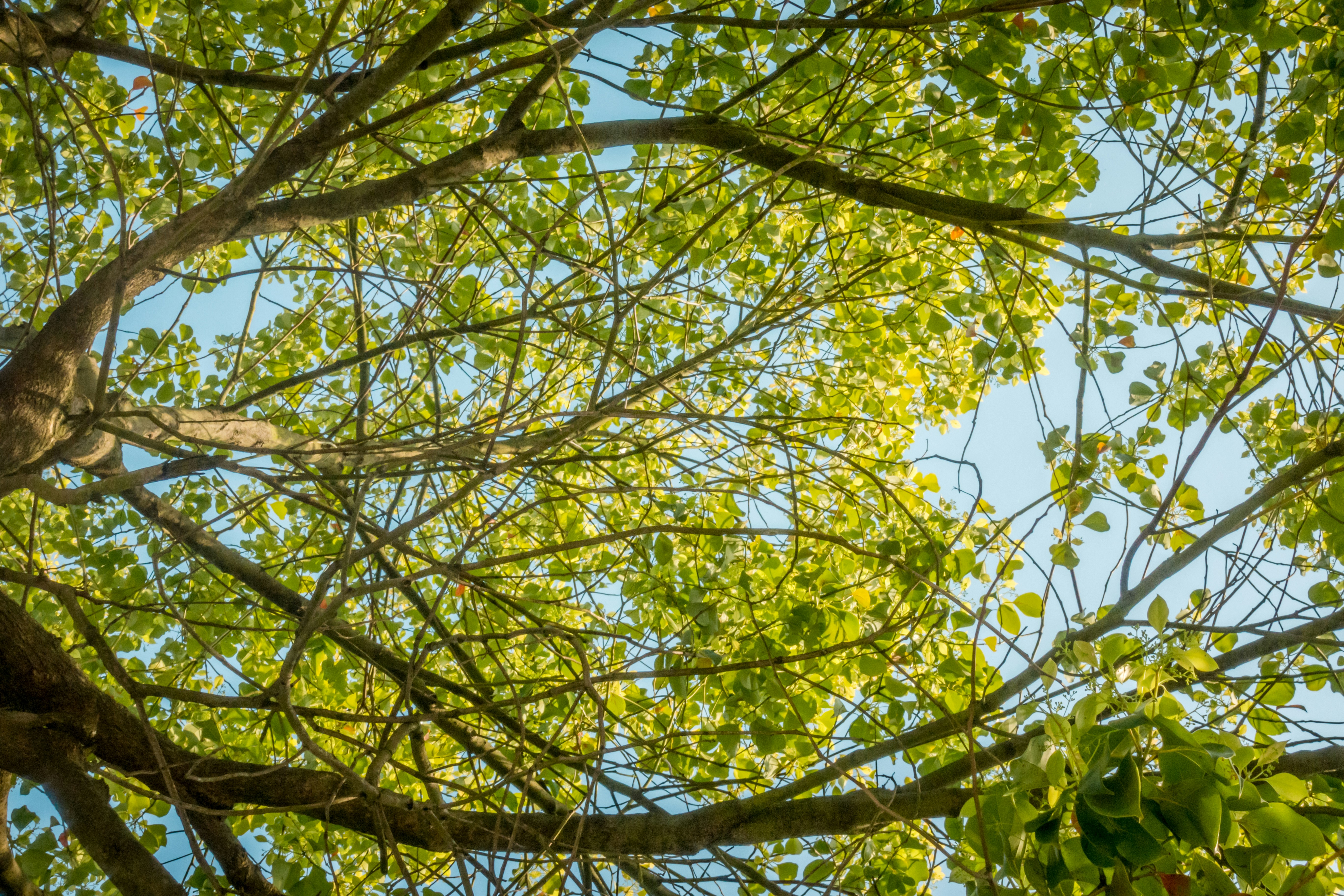 Photo by hypocriteeeee