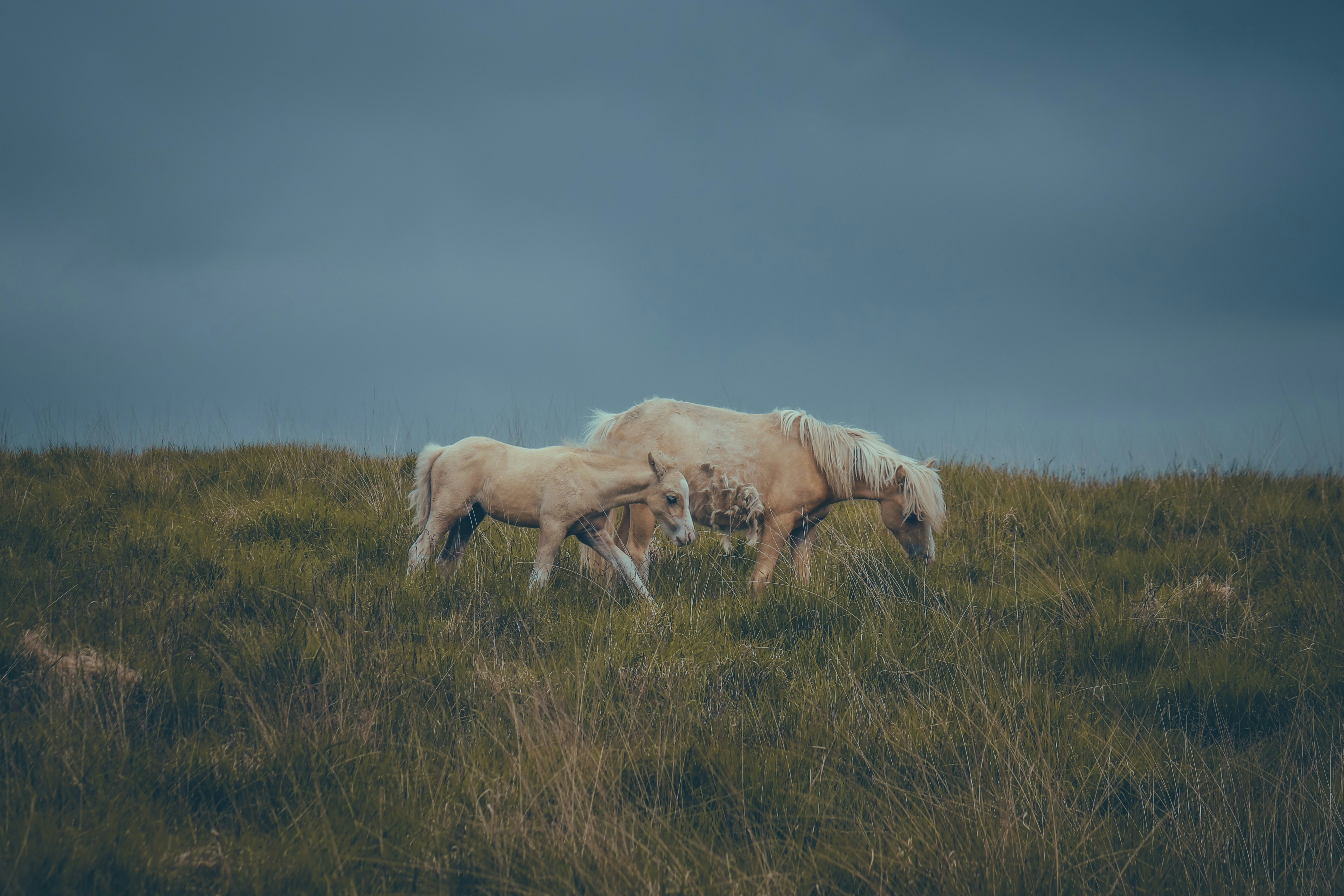 Photo by boysinbristol_photography