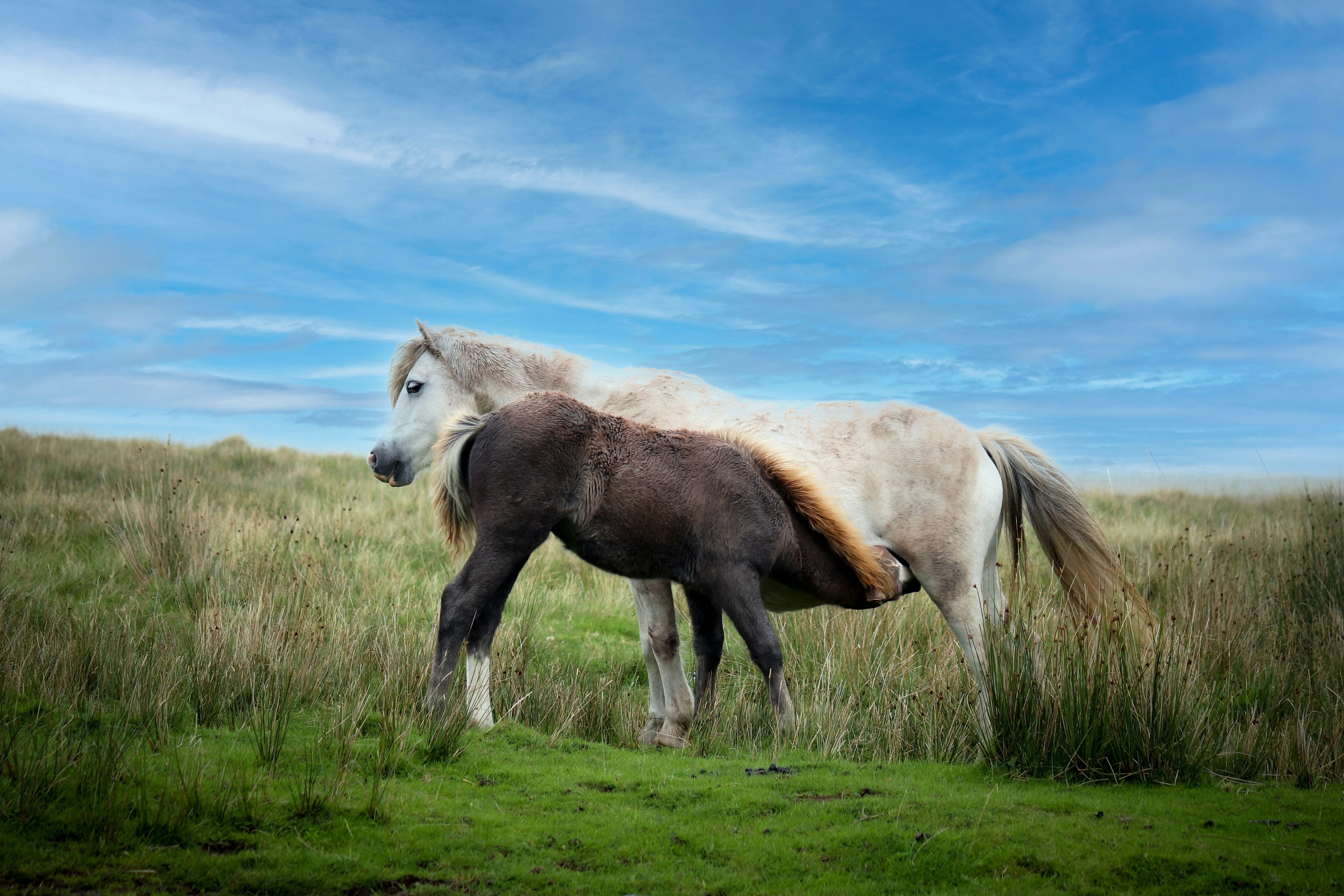 Photo by boysinbristol_photography