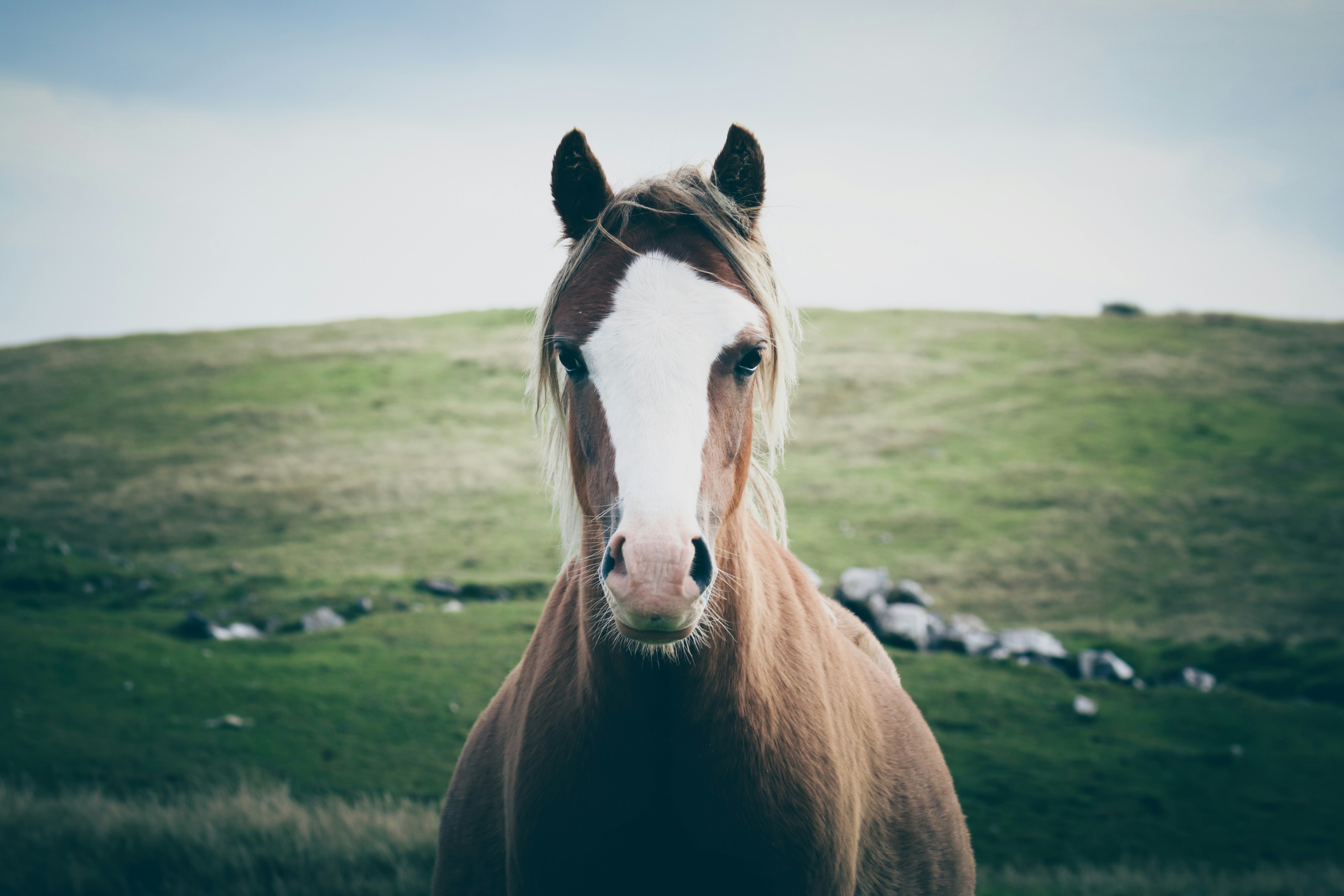 Photo by boysinbristol_photography