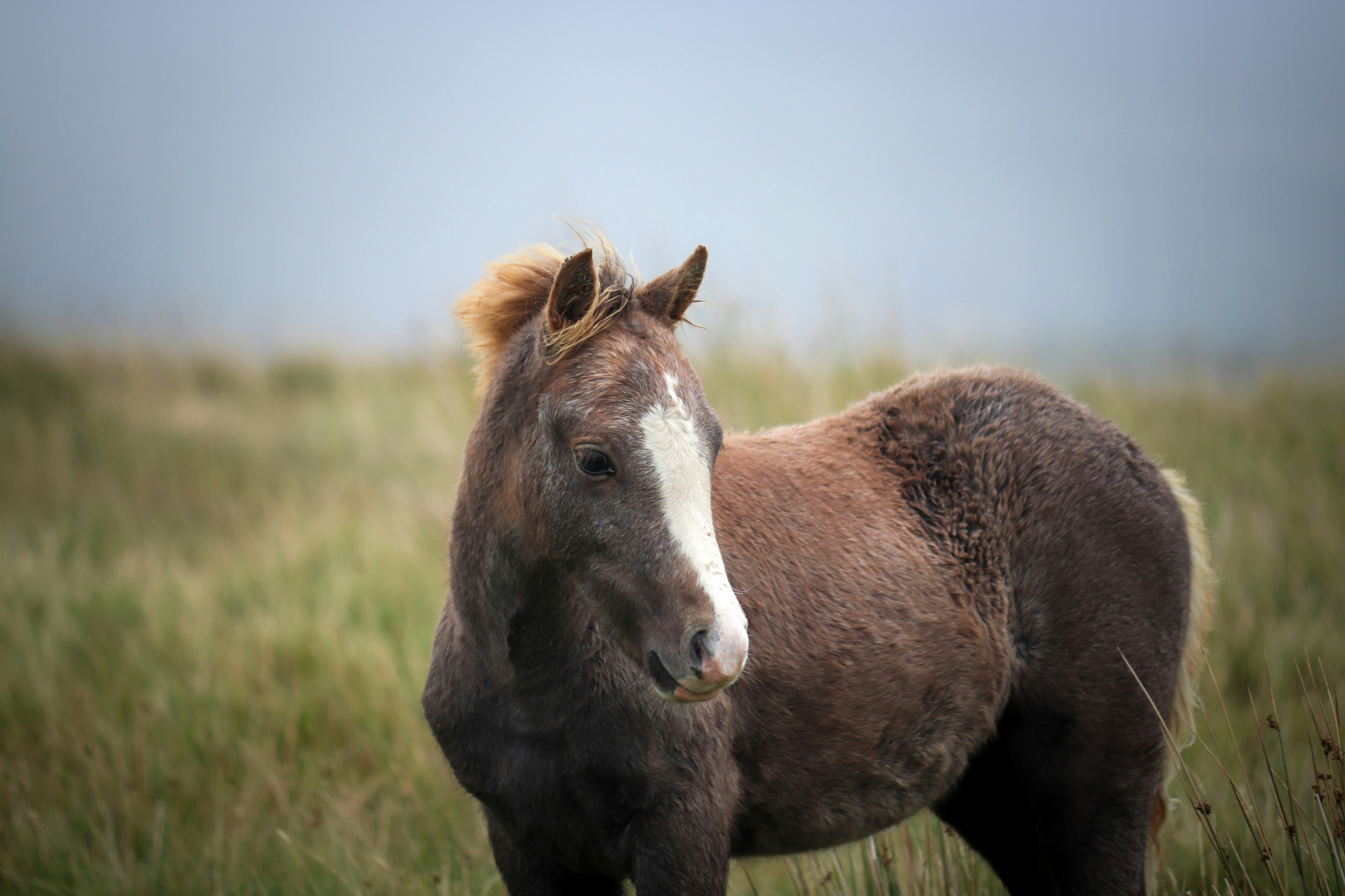 Photo by boysinbristol_photography