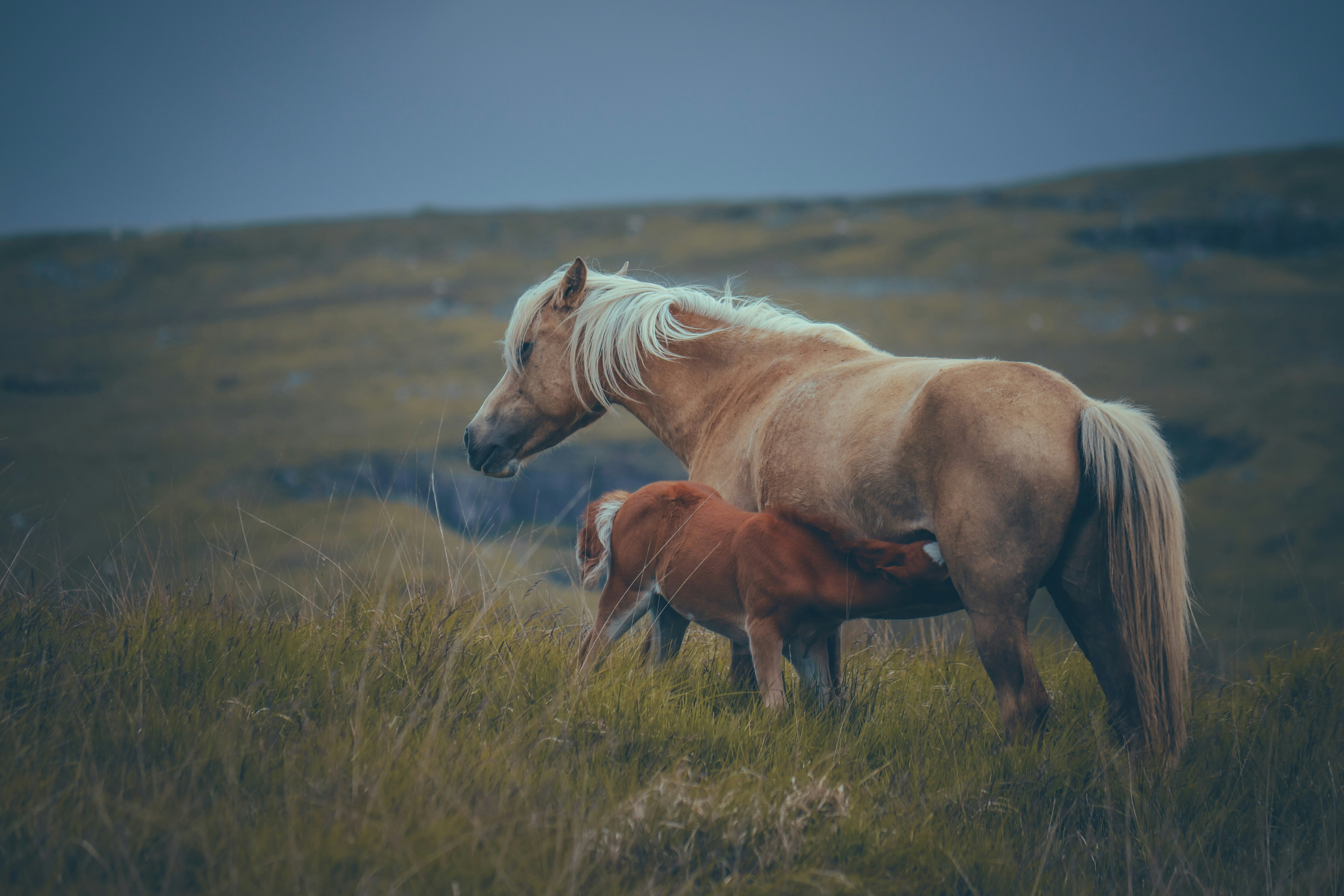 Photo by boysinbristol_photography