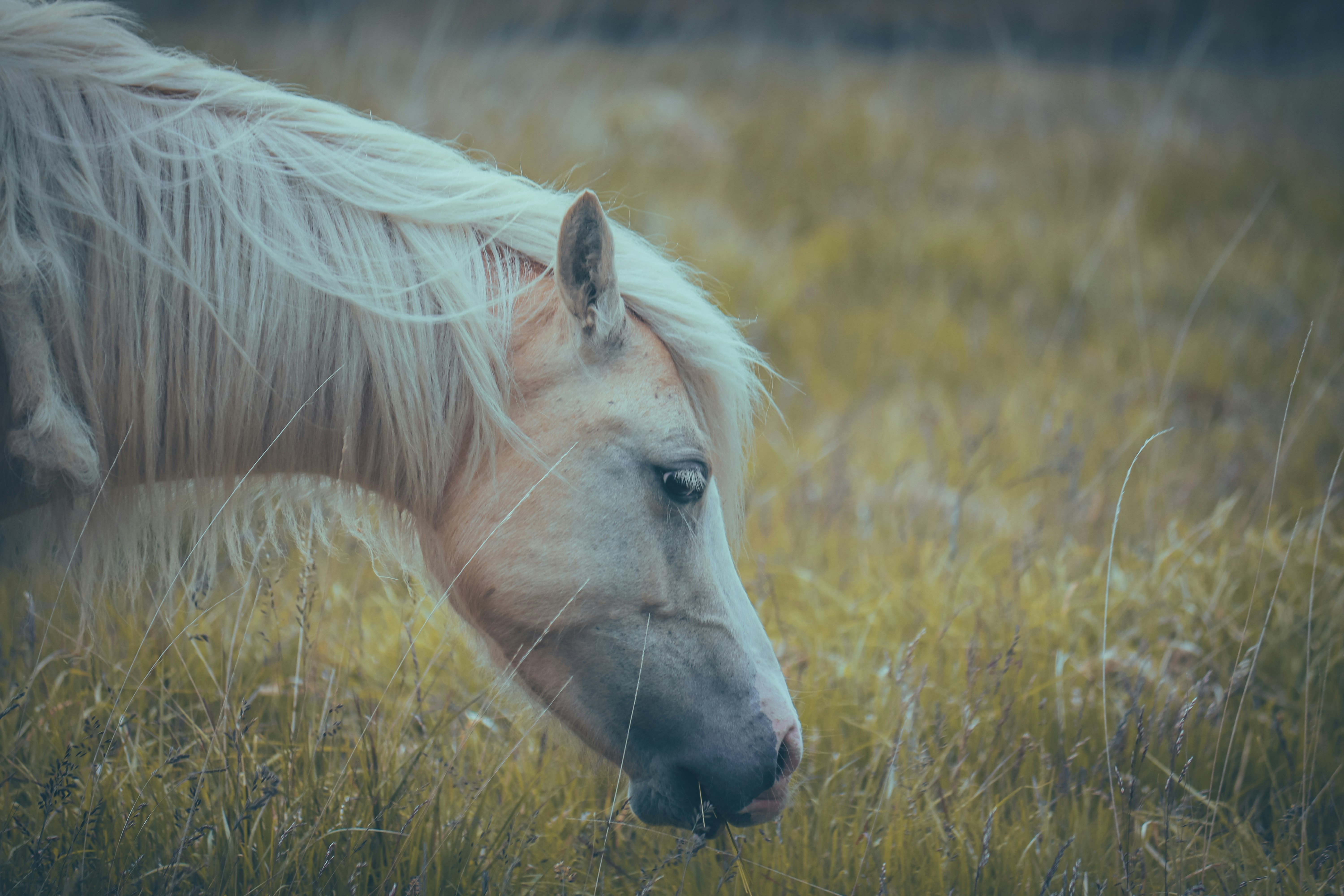 Photo by boysinbristol_photography