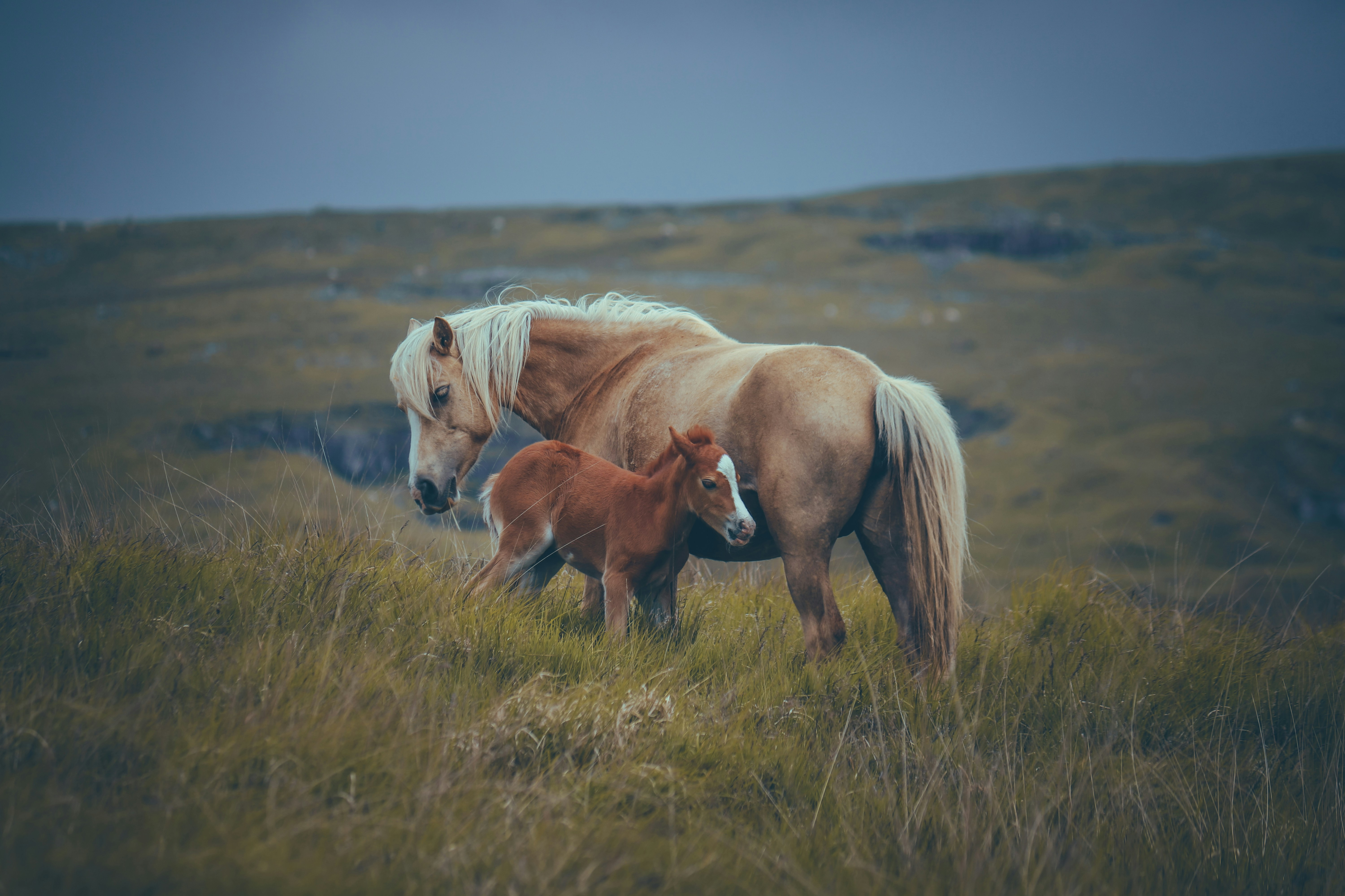 Photo by boysinbristol_photography