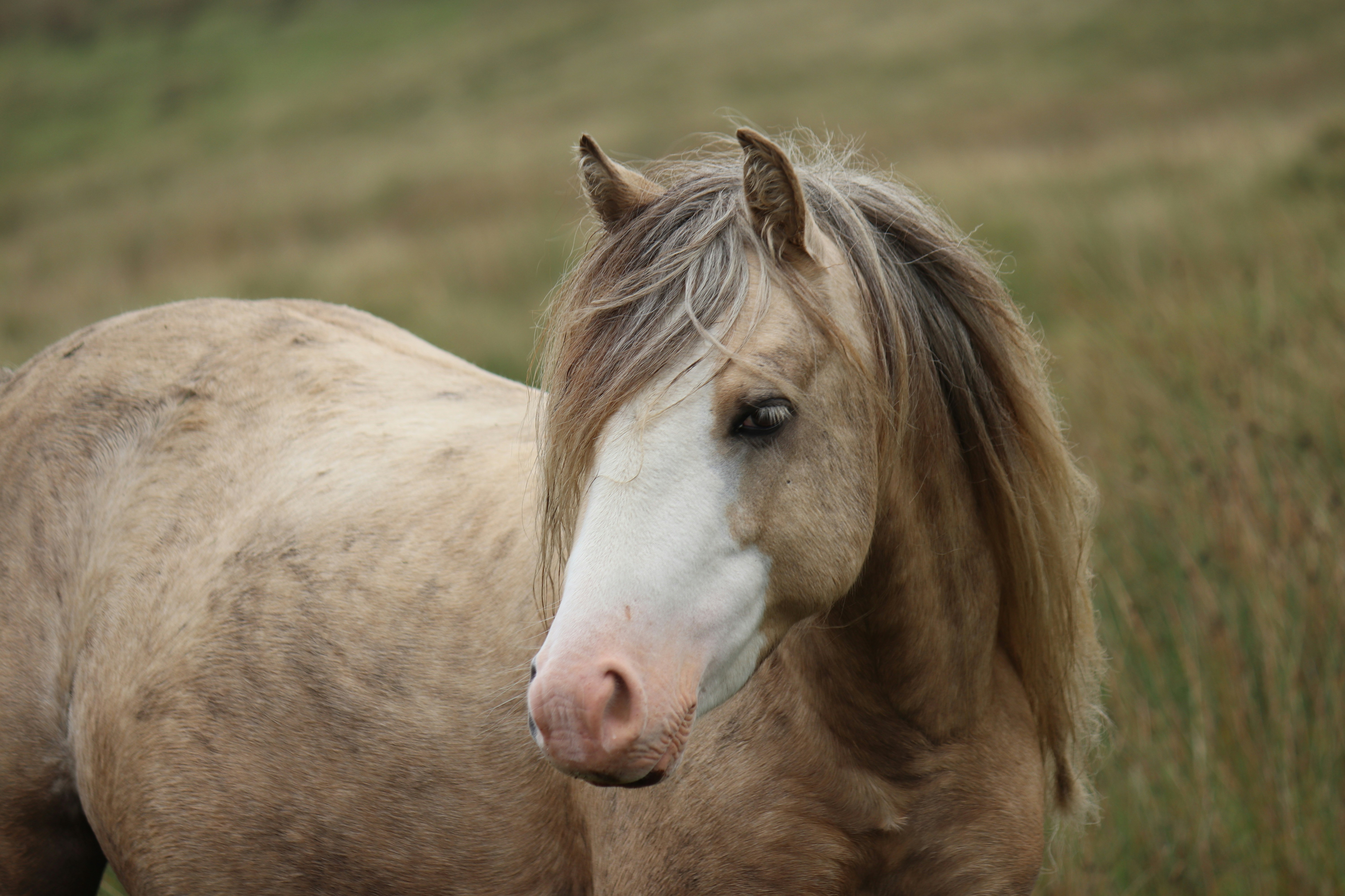 Photo by boysinbristol_photography