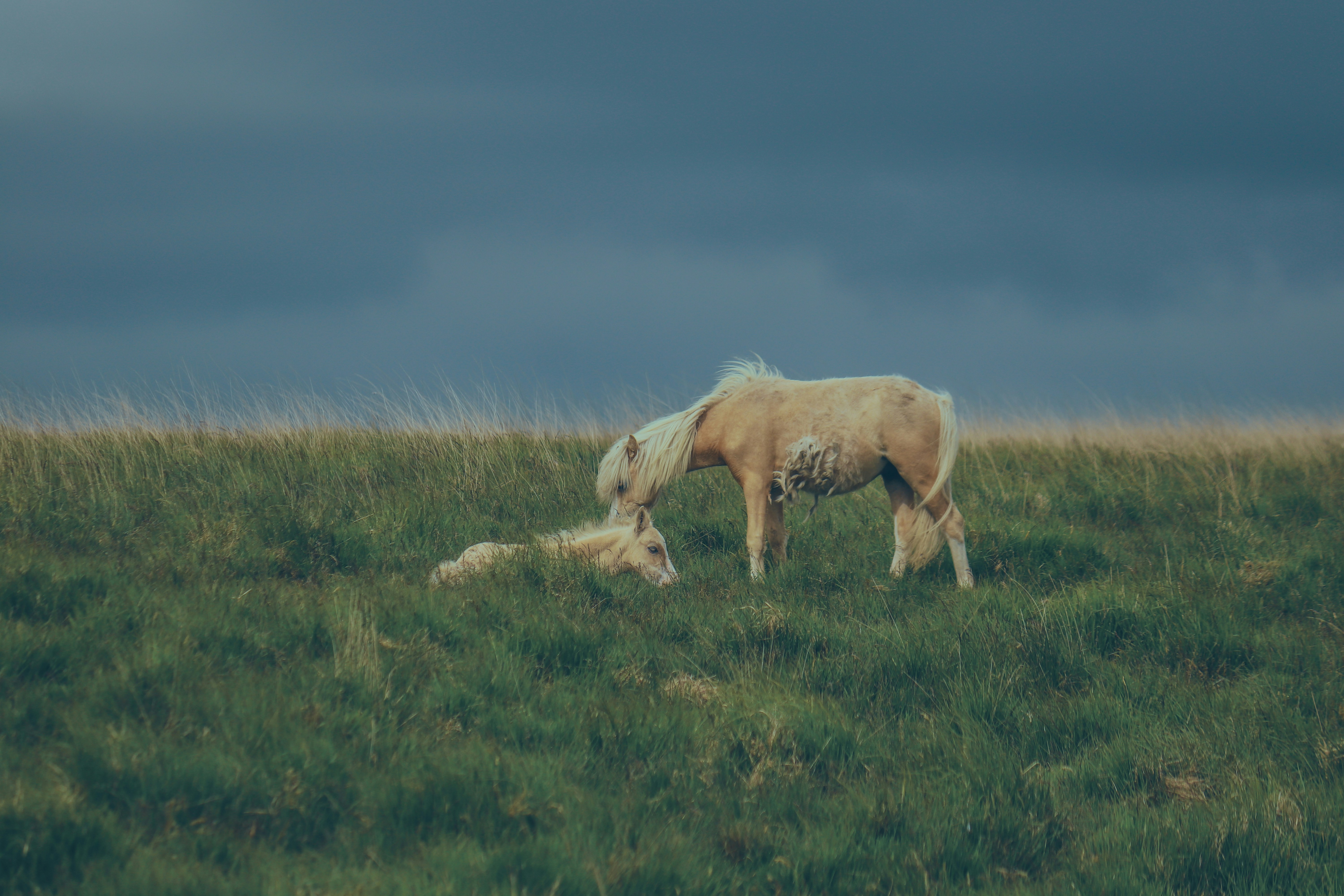 Photo by boysinbristol_photography