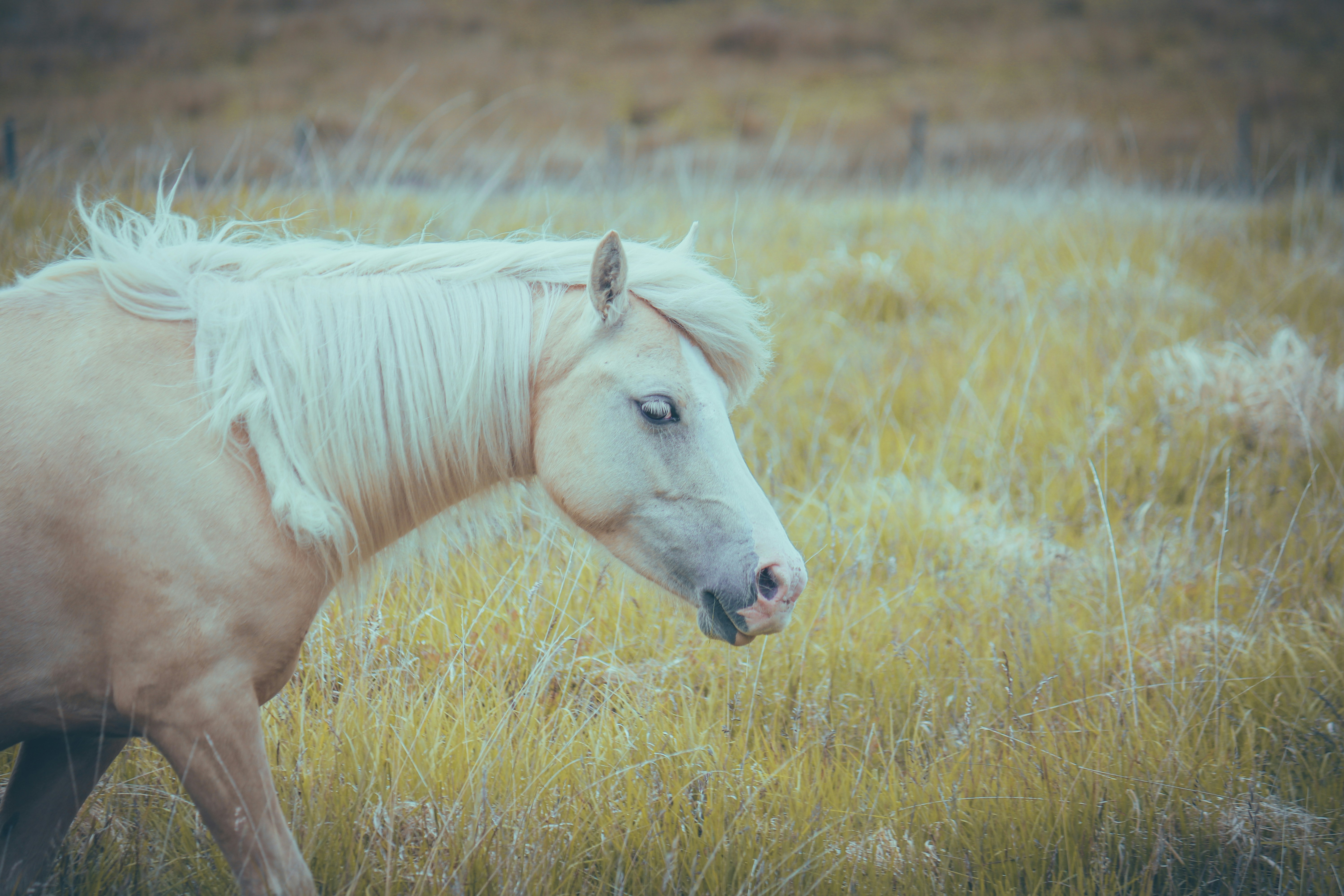 Photo by boysinbristol_photography