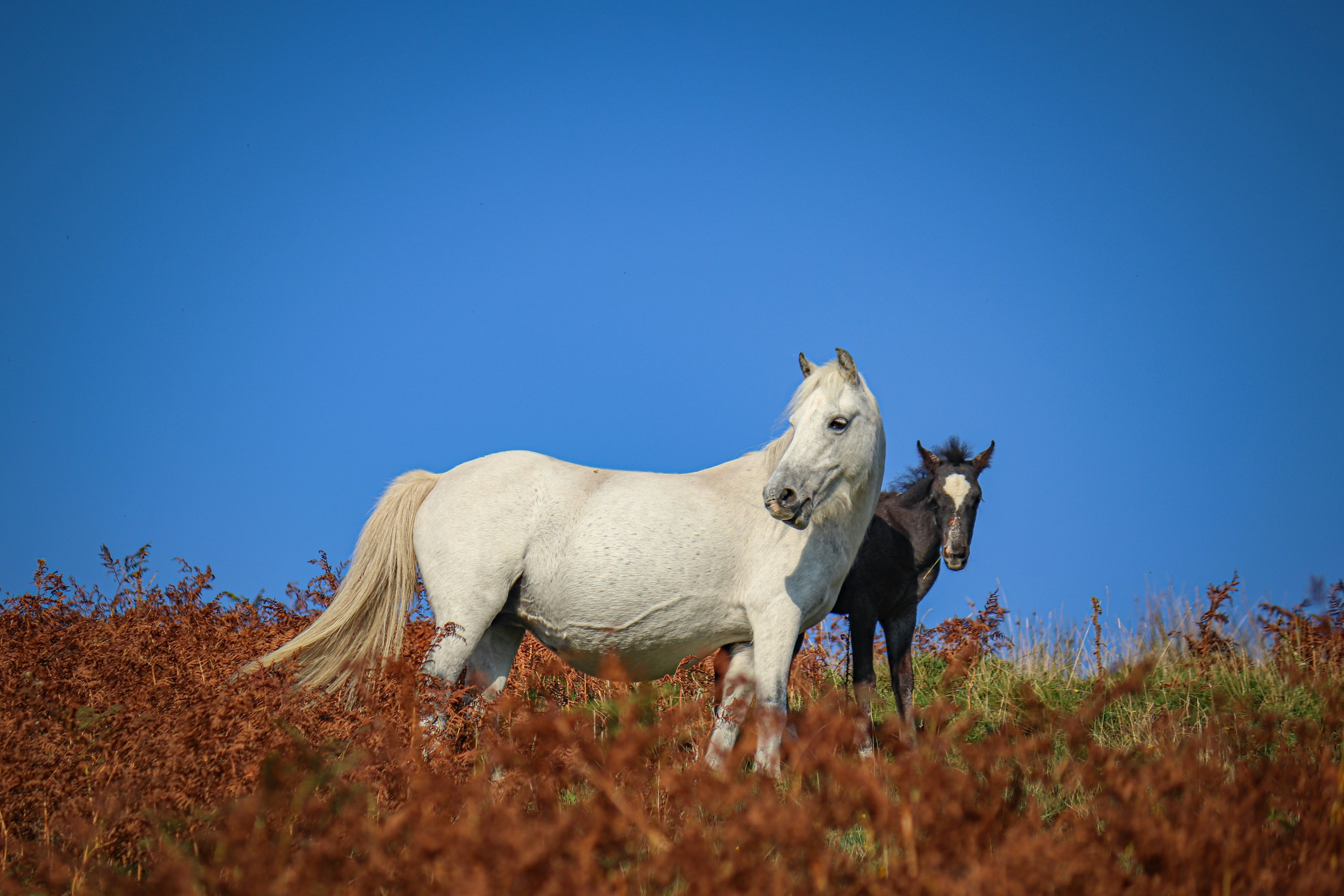 Photo by boysinbristol_photography