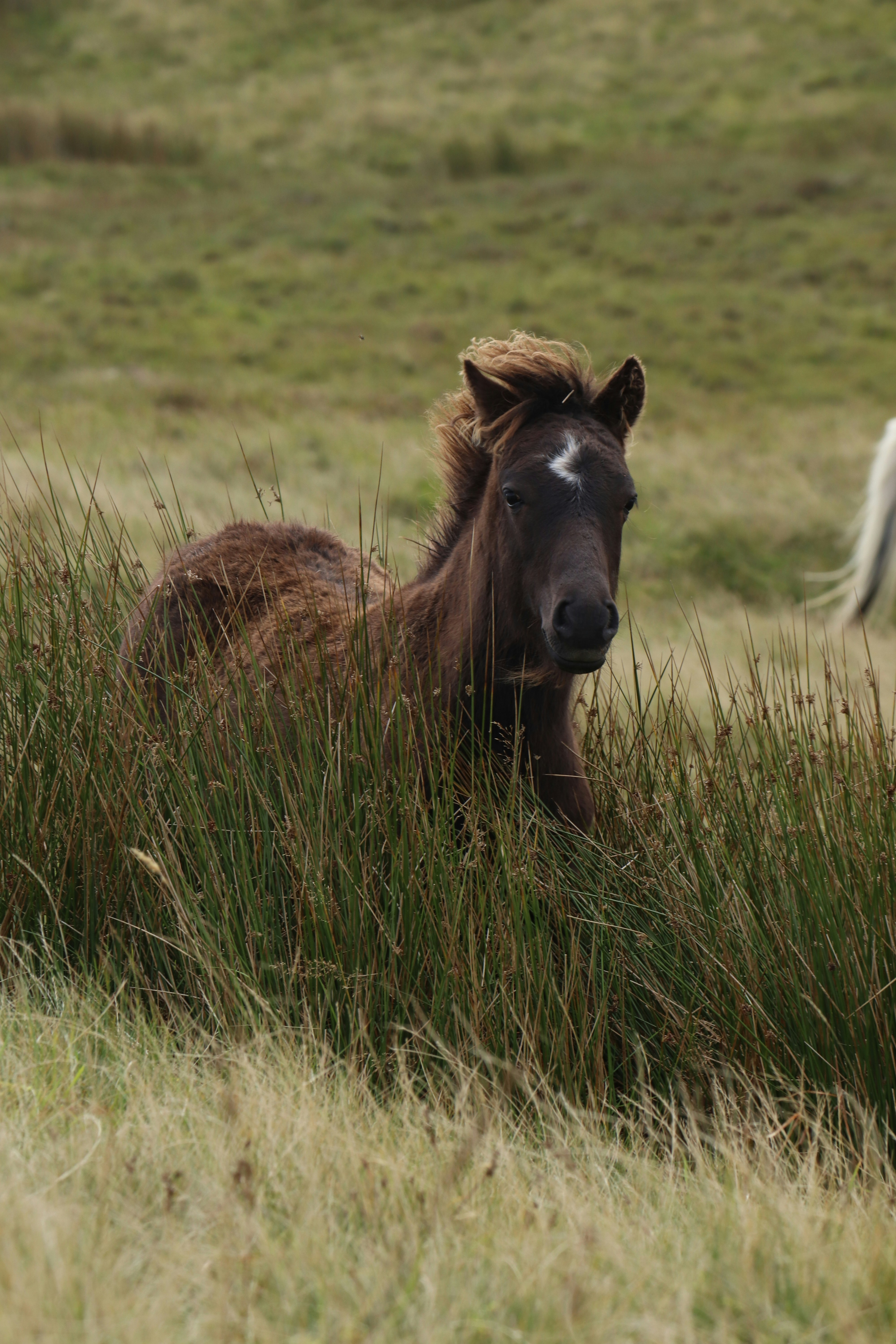 Photo by boysinbristol_photography