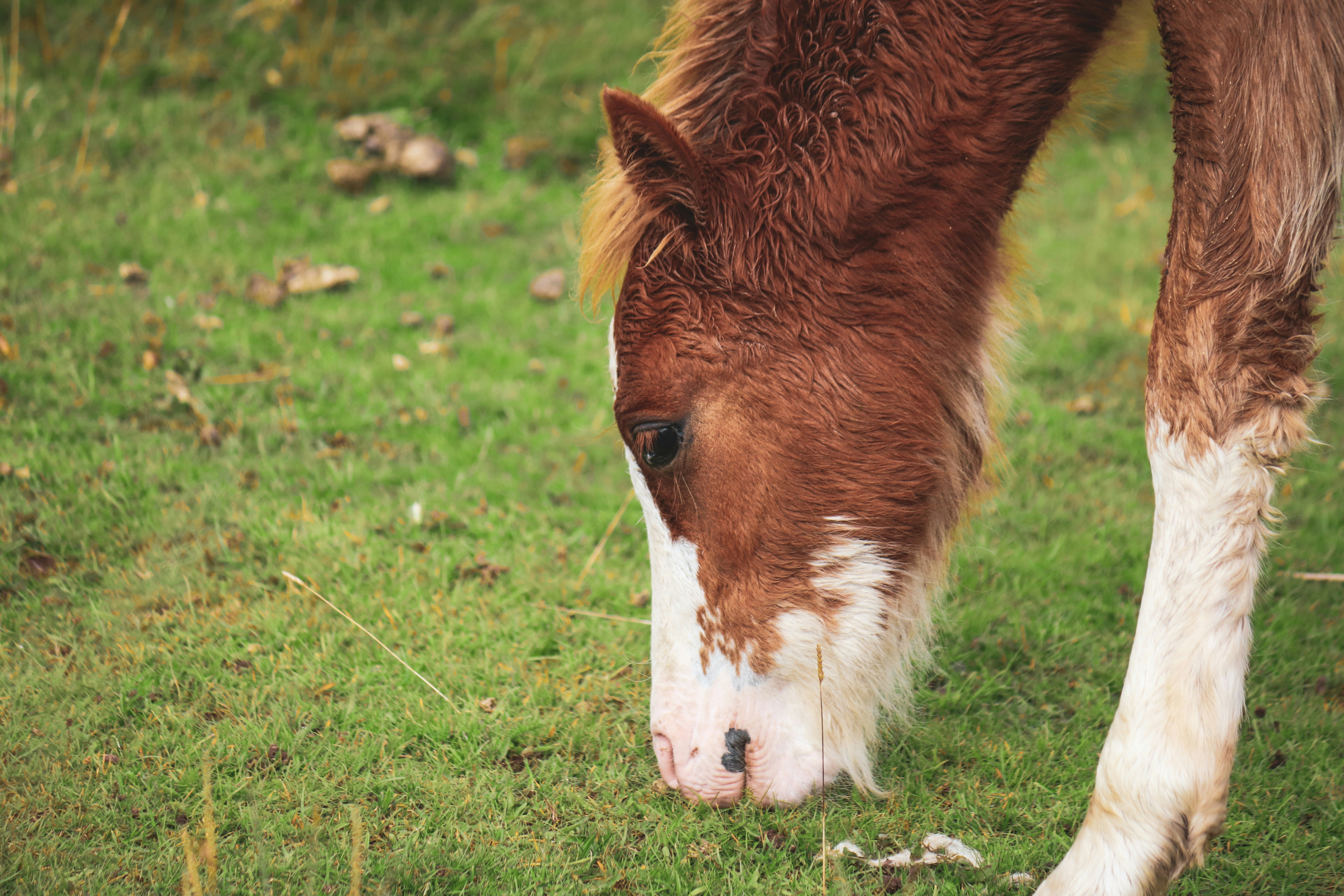 Photo by boysinbristol_photography