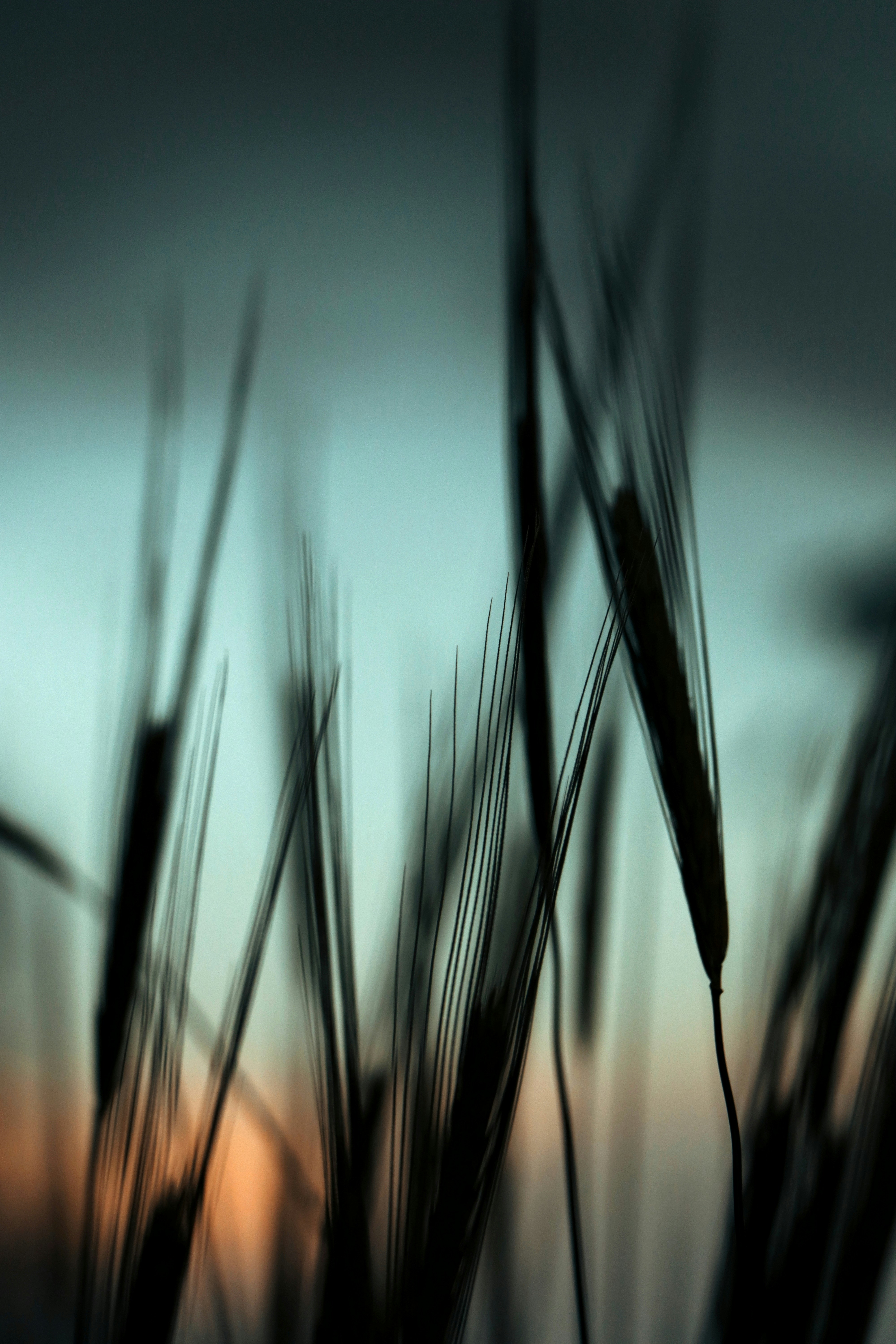 Photo by hamidrezadehghan_11hd