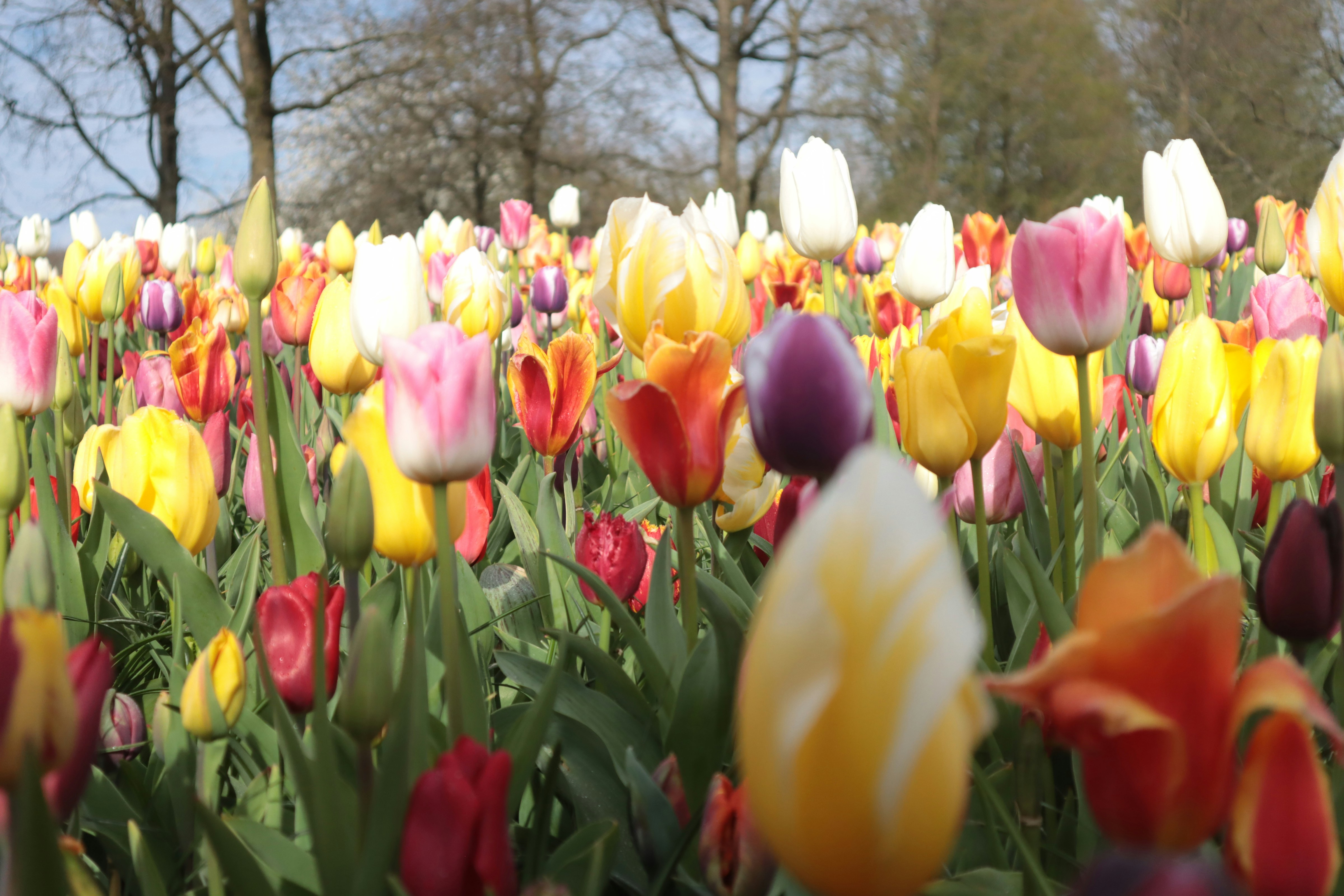 Photo by nellstephanj