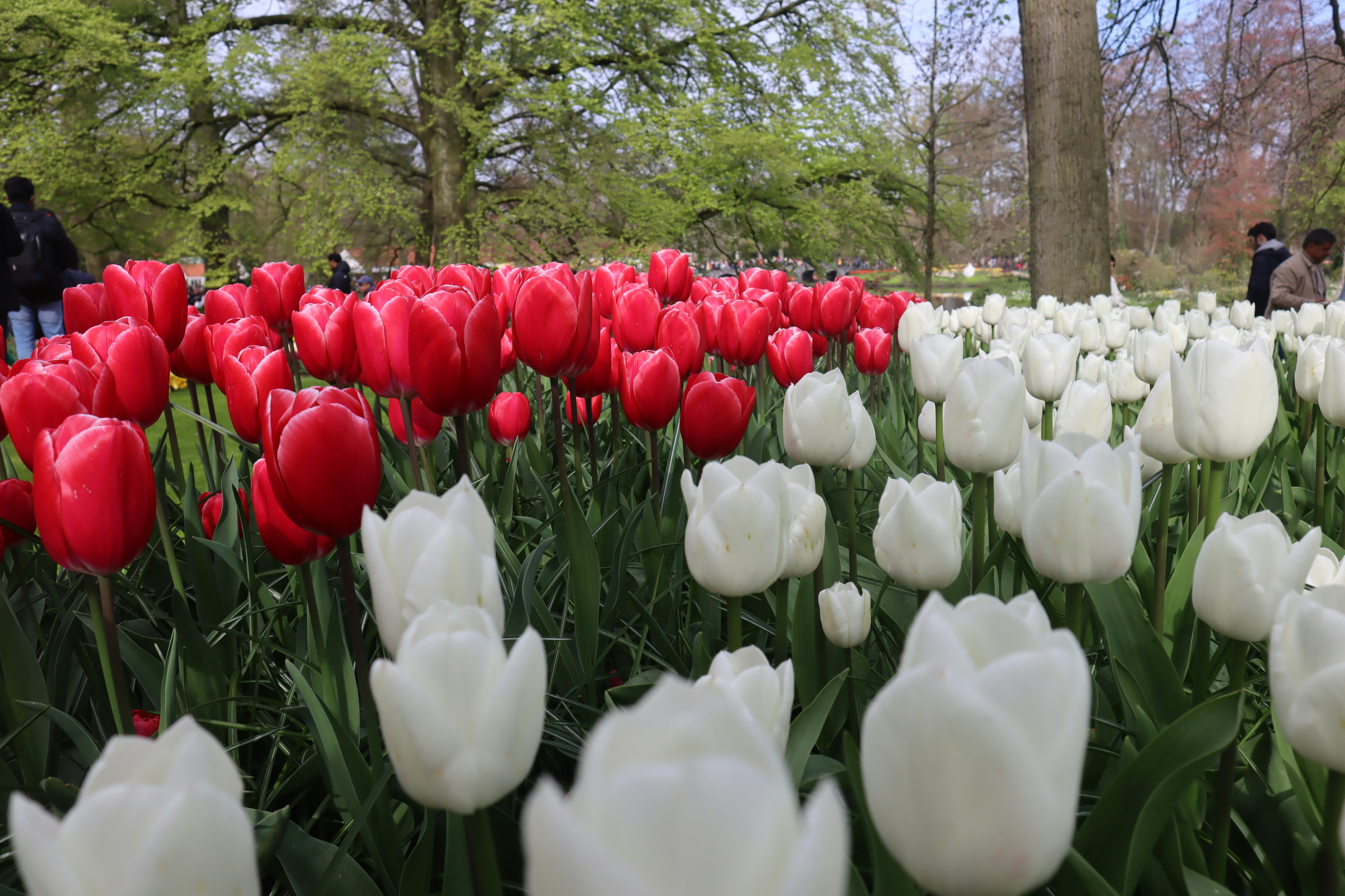 Photo by nellstephanj