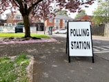 A sidewalk with a sign reading 'Polling Station' is positioned prominently in the foreground. The scene includes a large tree with pink blossoms, scattering petals over the grass and pavement. In the background, residential brick houses and a white car are visible.